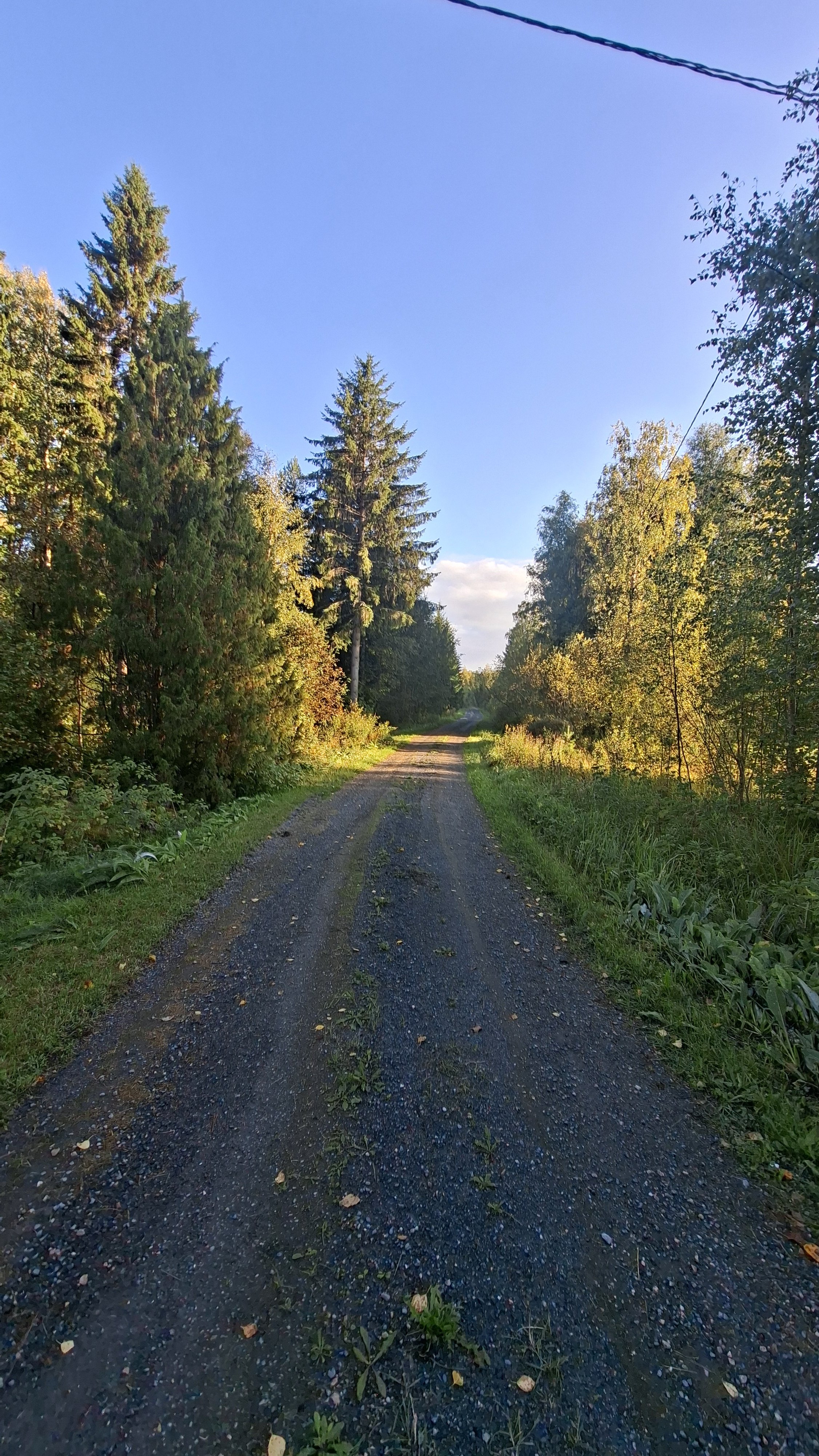 Suuri omakotitalo metsän keskellä 5