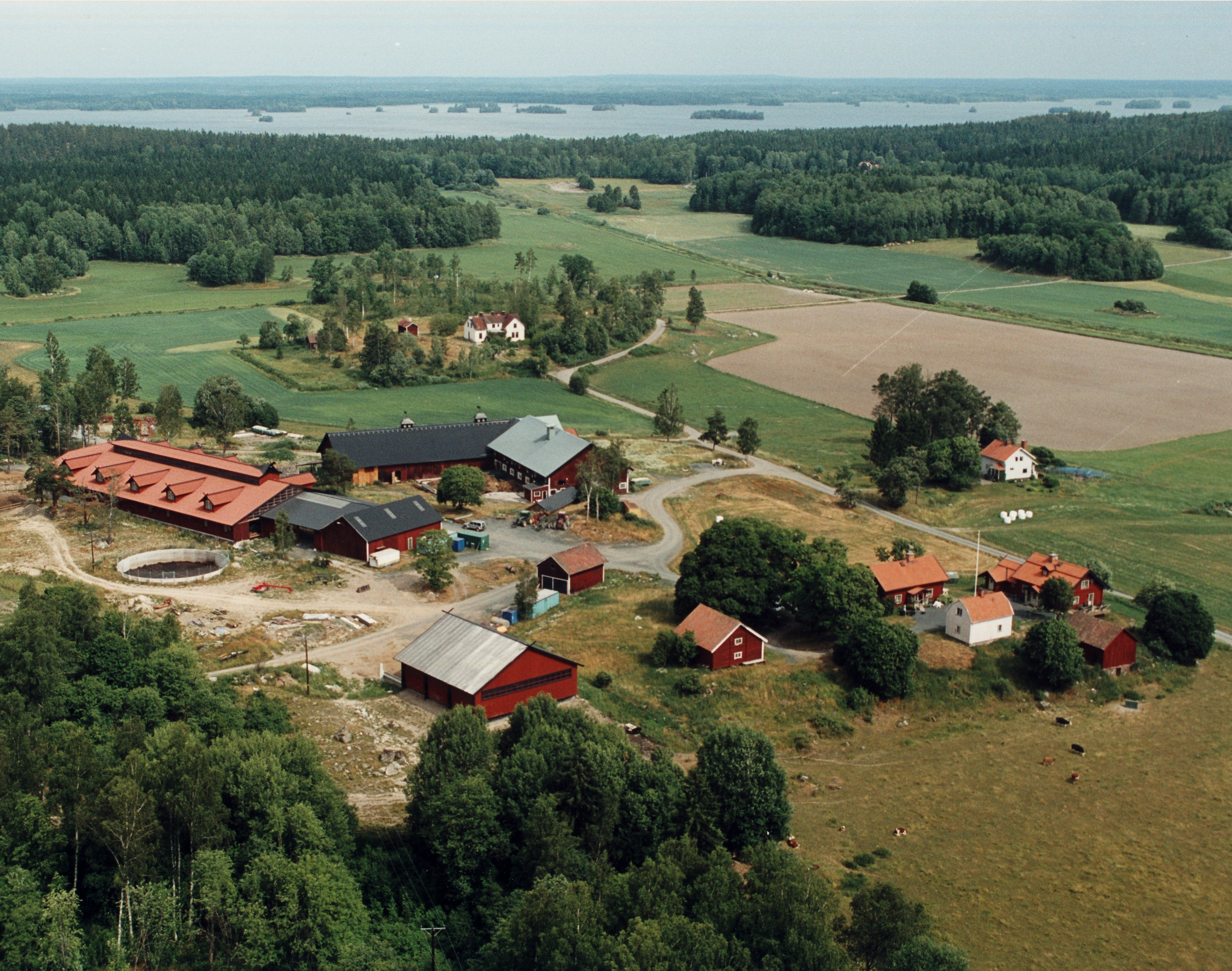 Torp