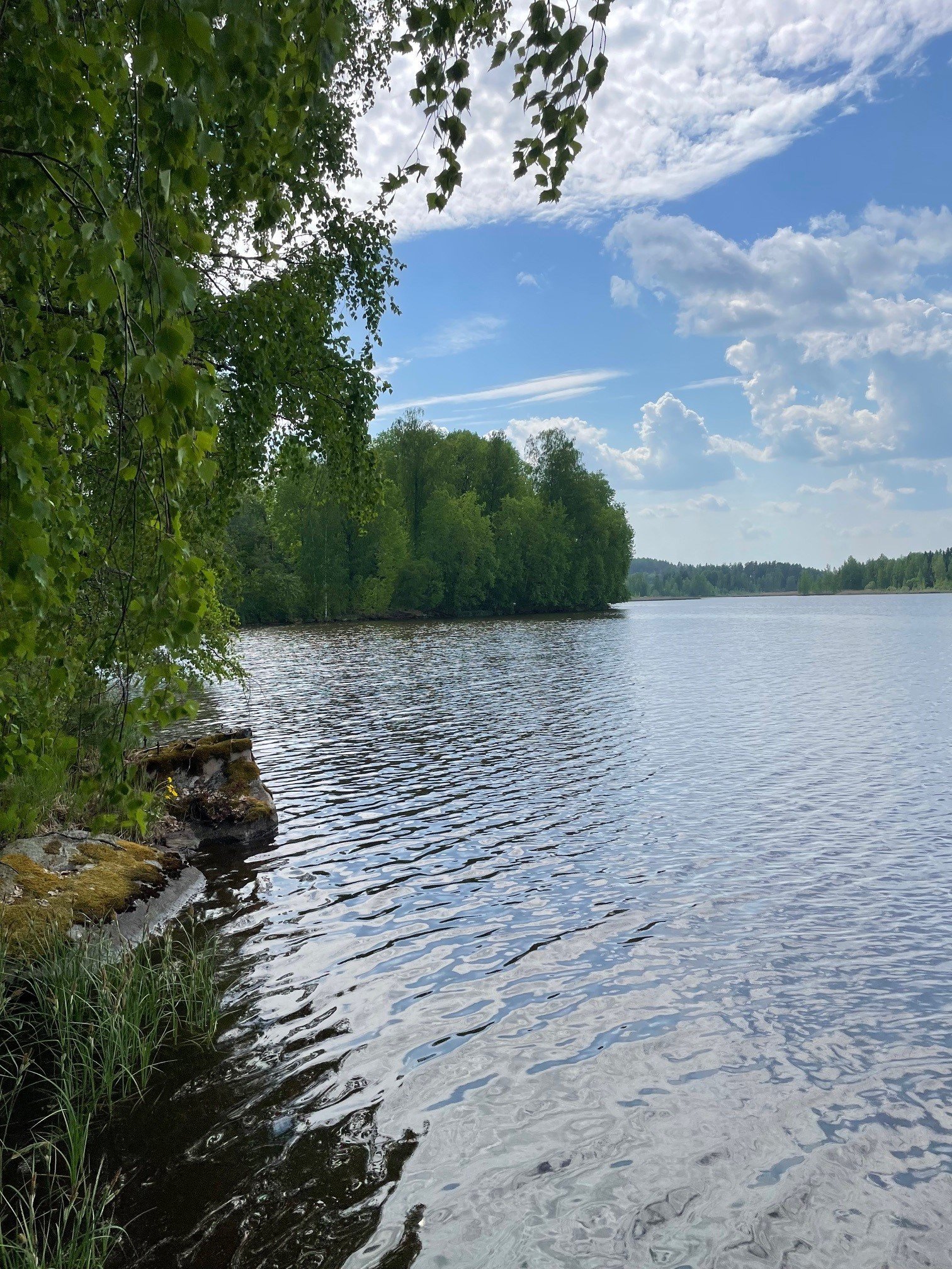 VUOKRATAAN MUMMONMÖKKI 4