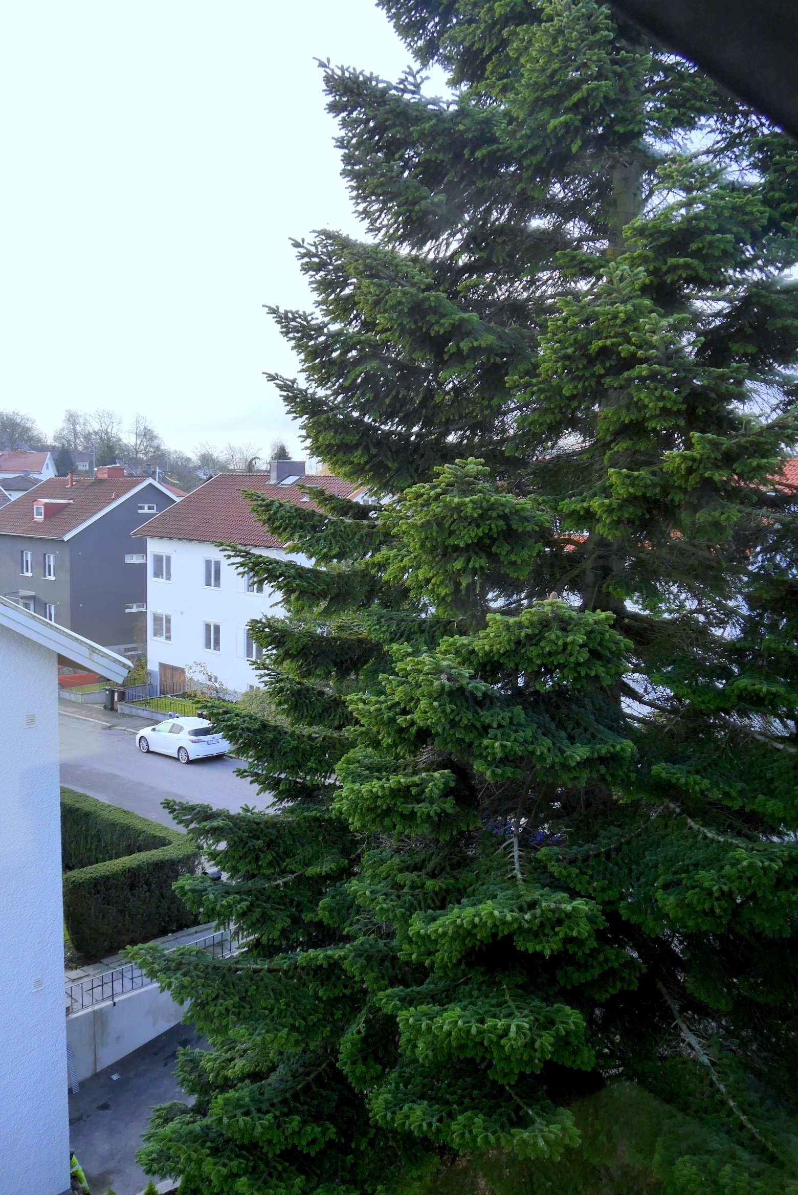 Lilla Kärralundsgatan, Göteborg — photo 5