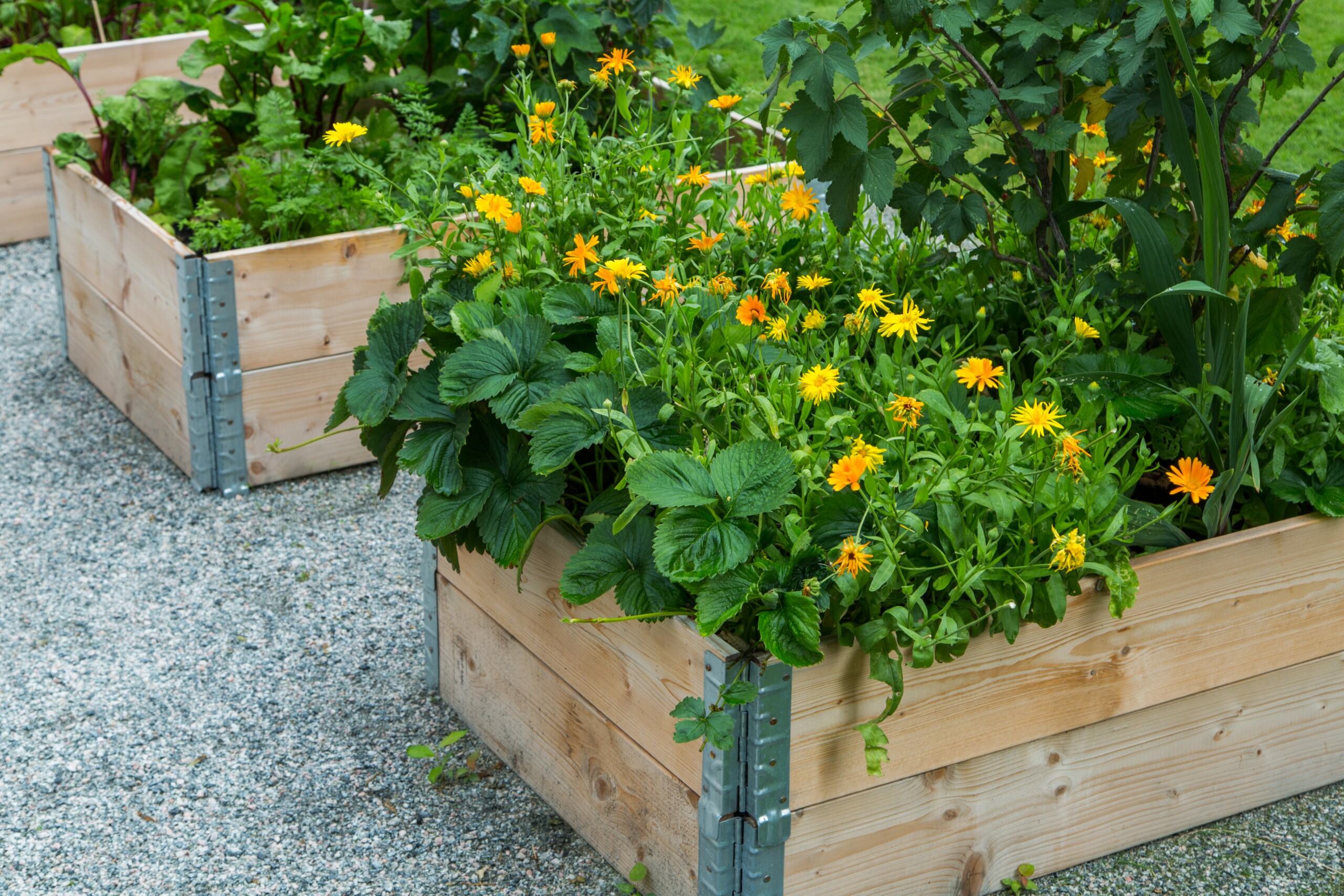 Sjöjungfrugatan 17, Västerås — photo 3