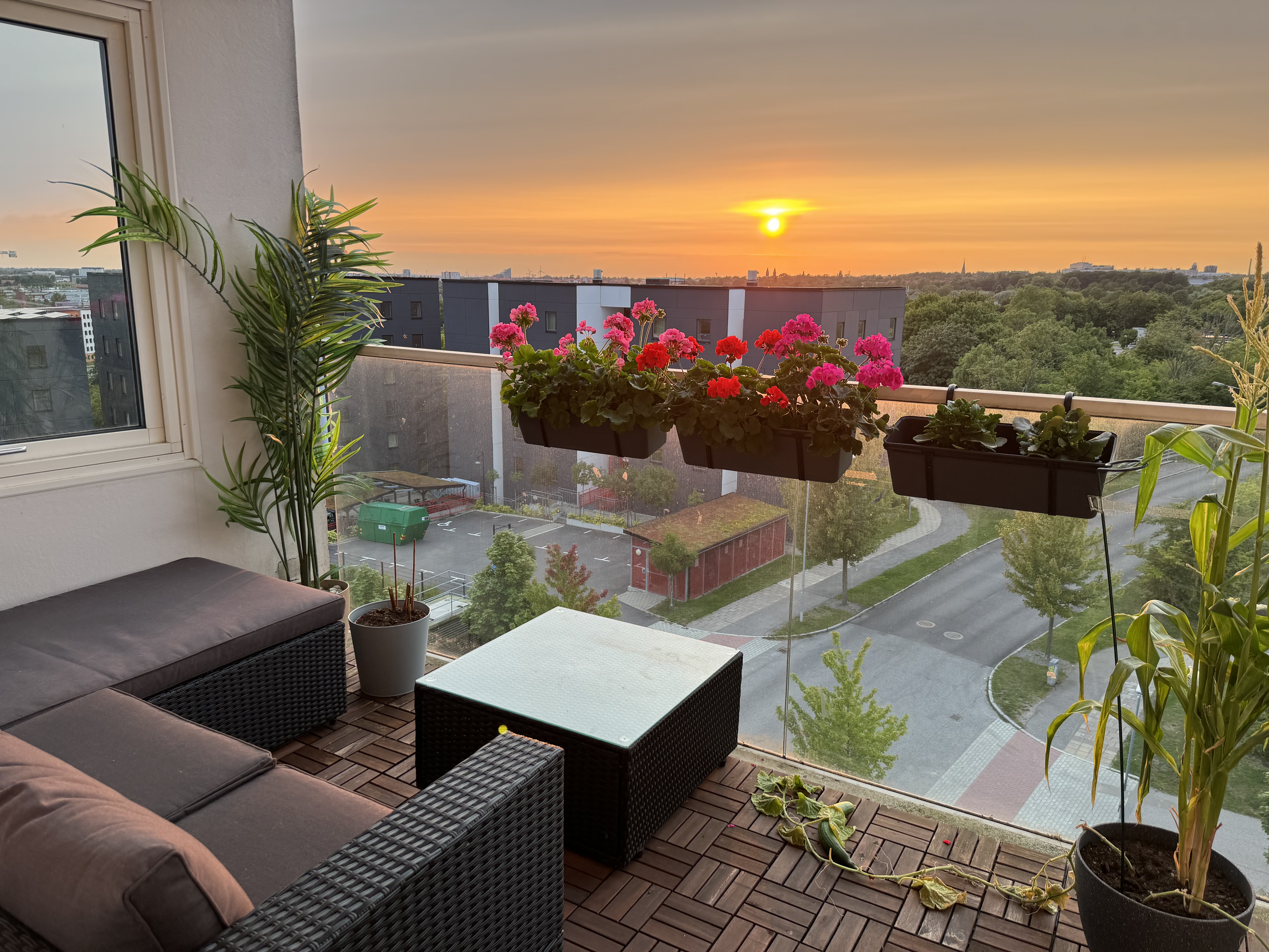 Vikingavägen, Lund — photo 5