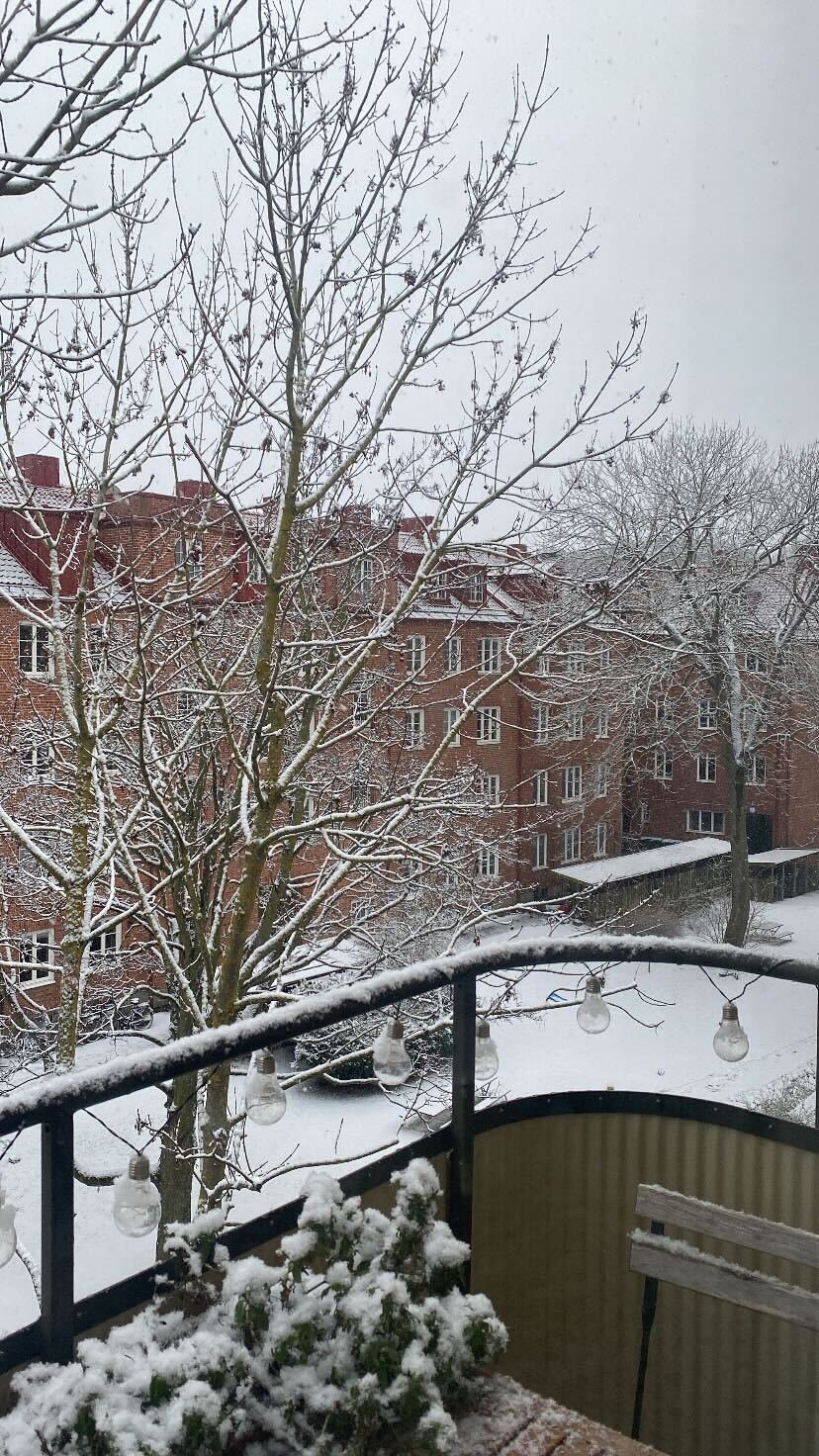 Östra Stallmästaregatan, Malmö — photo 2