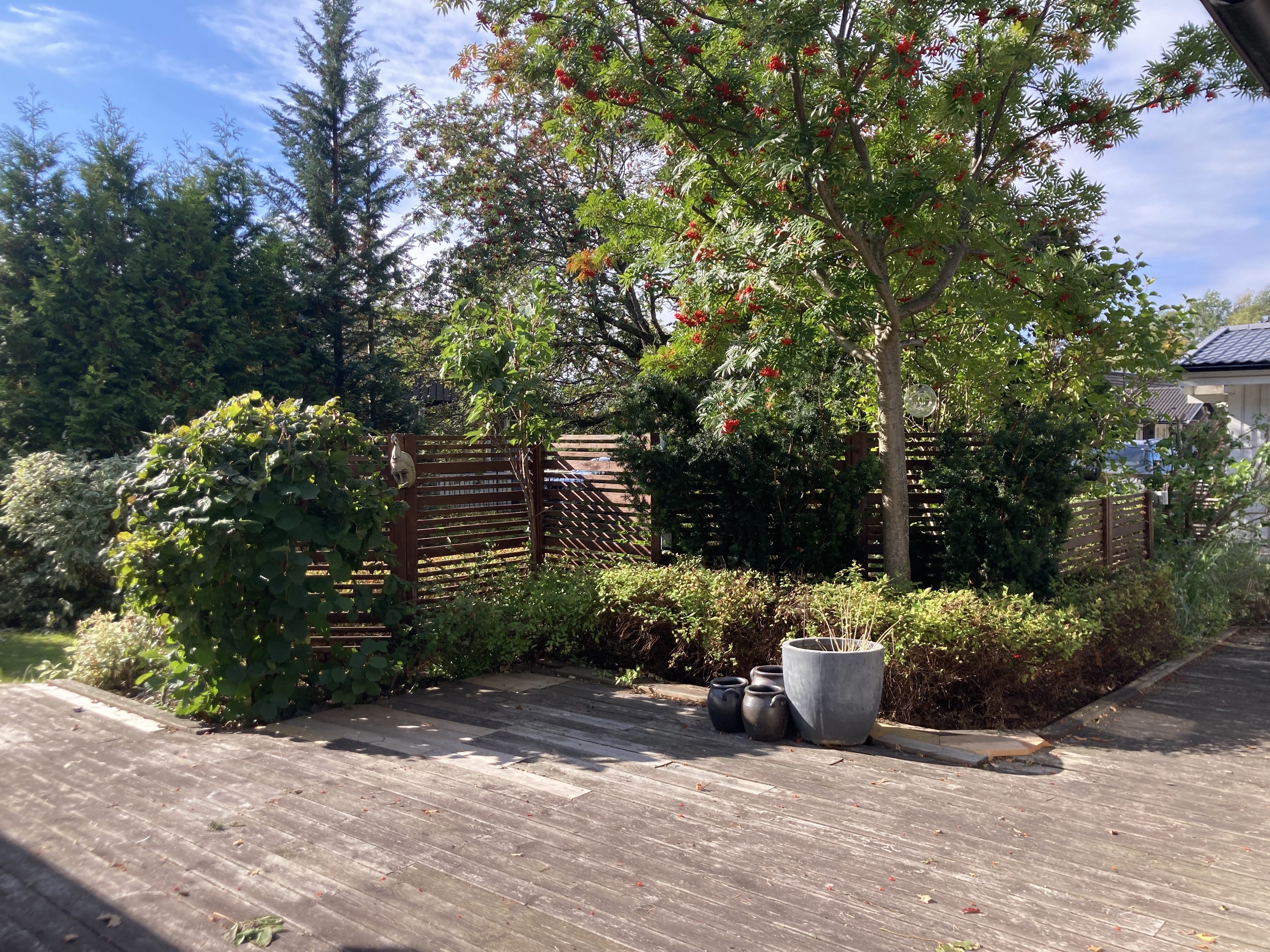 Norrskensgatan, Västerås — photo 4