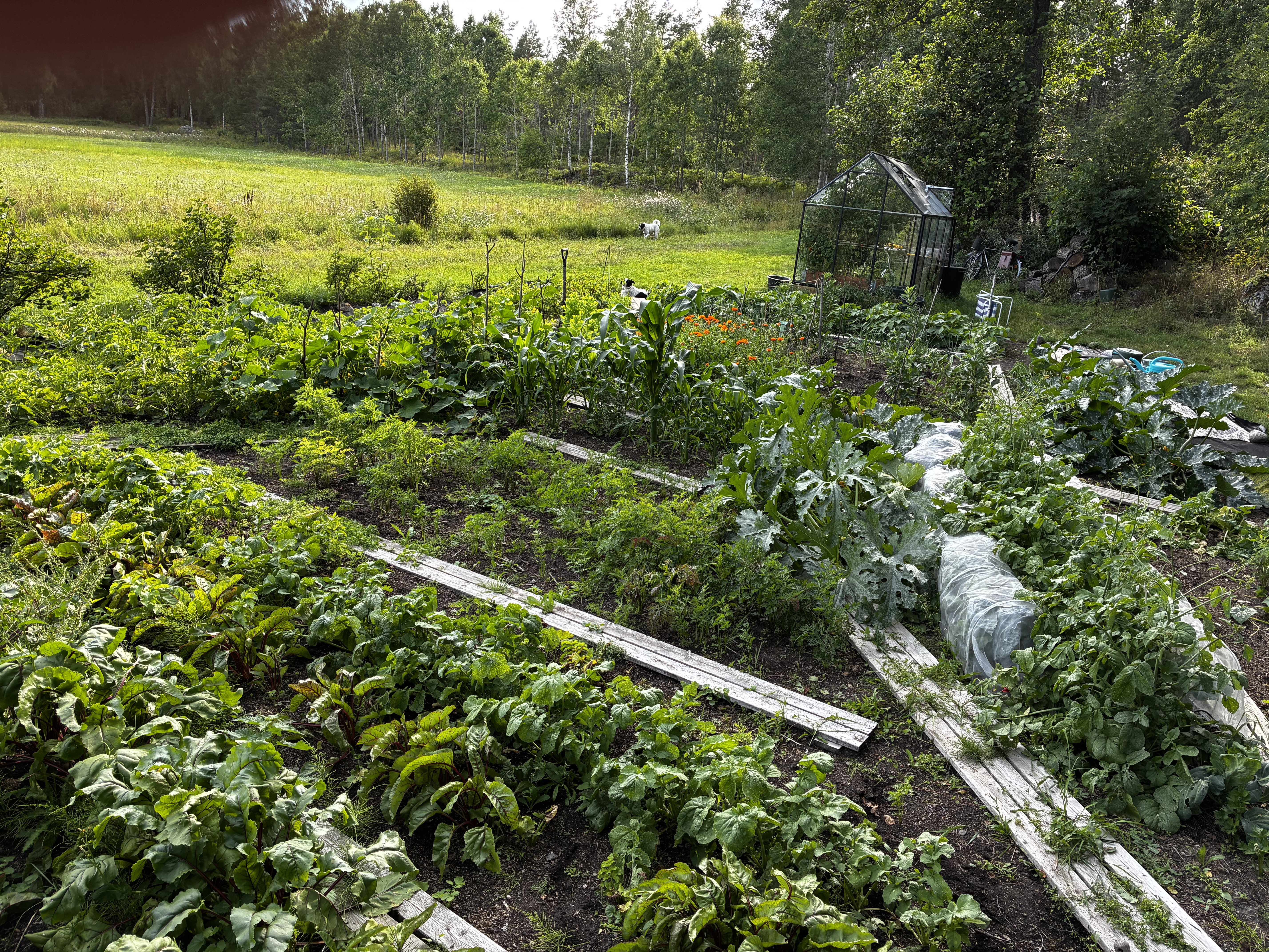 Hus – Norrtälje kommun, Stockholms län - Fler