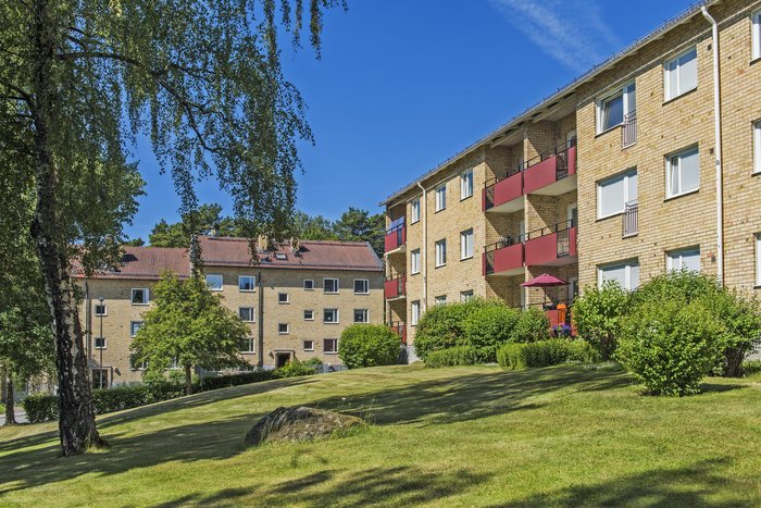 Bergvägen