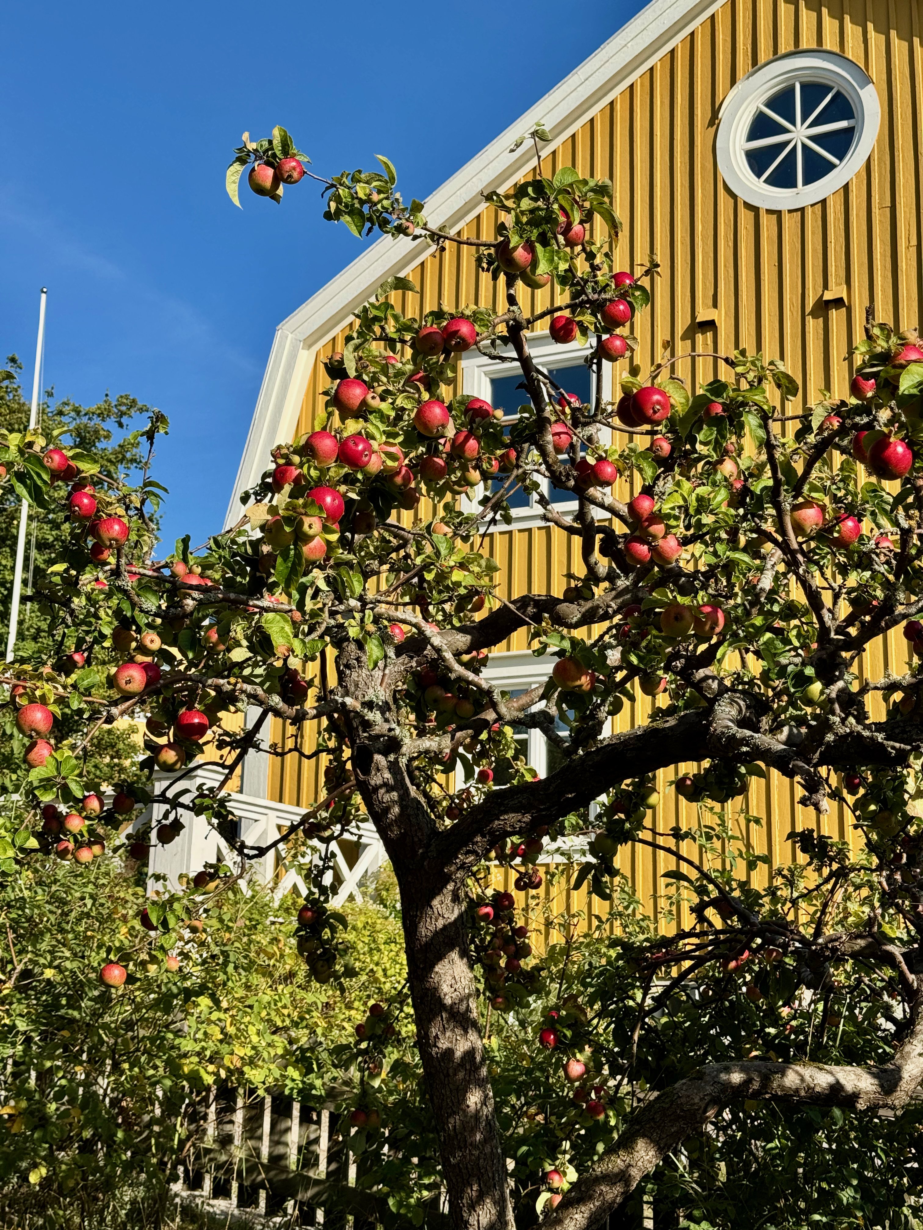 7 rok · 220 m² i Karlskrona – bild 30