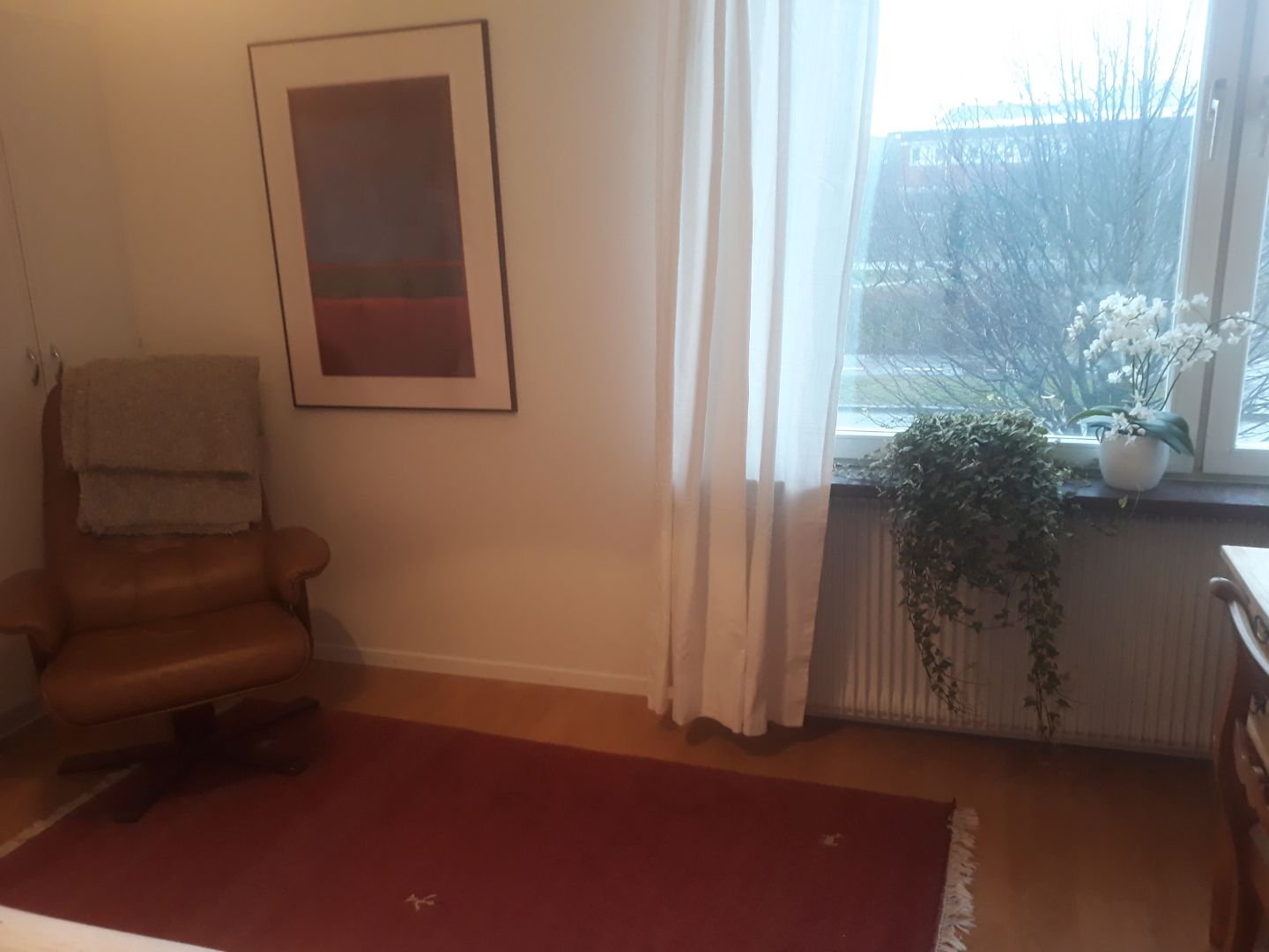 Dag Hammarskjölds väg, Lund — photo 4