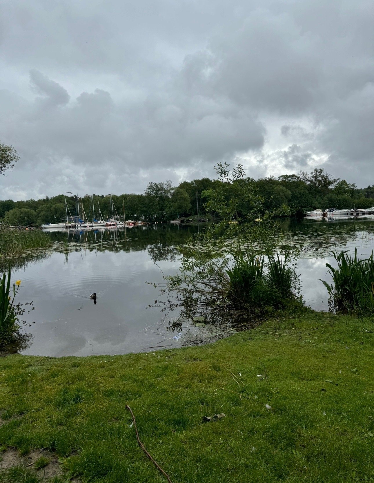 Johannesfredsvägen, Bromma — photo 2