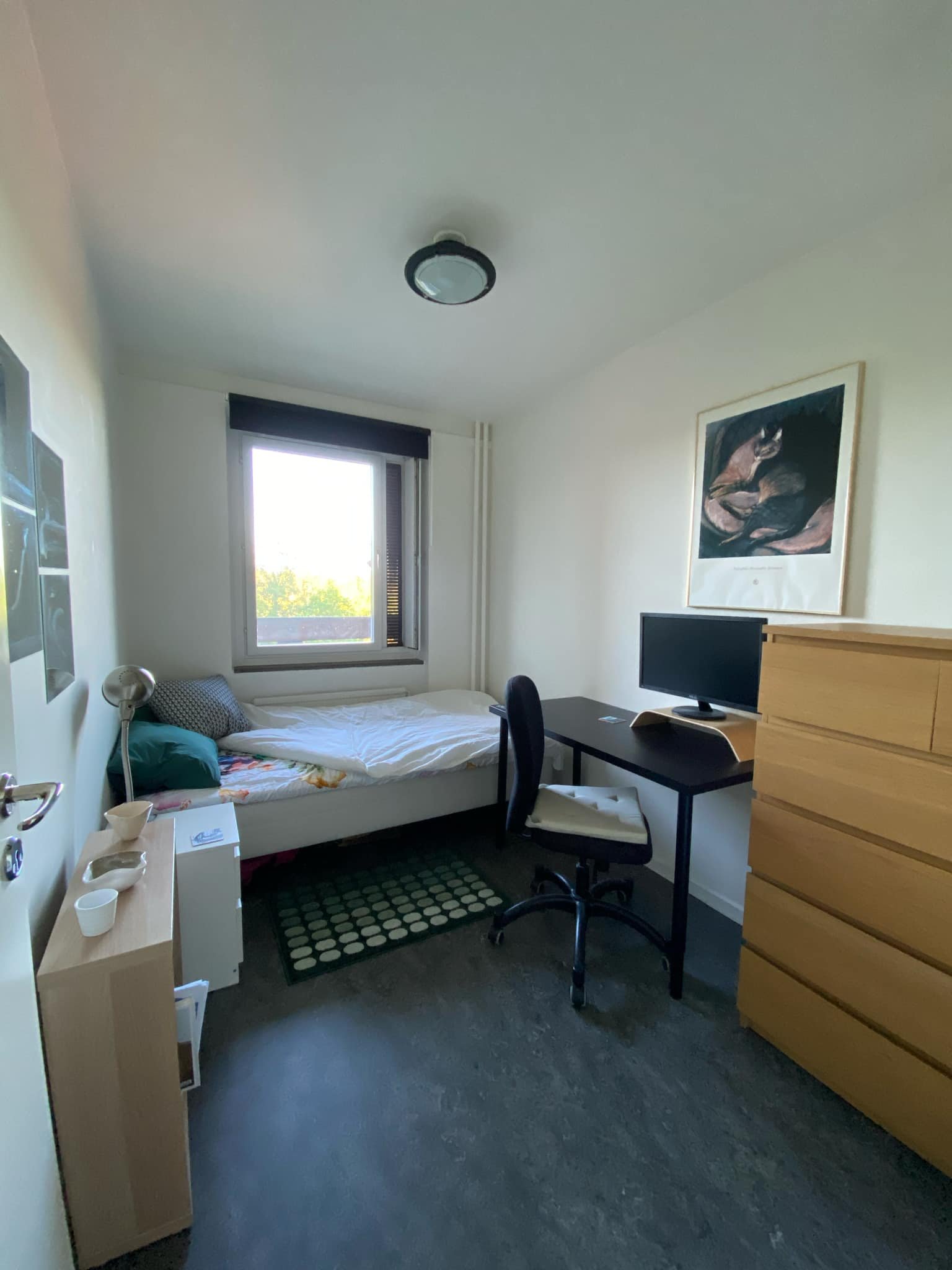 Professorsslingan, Stockholm — photo 5