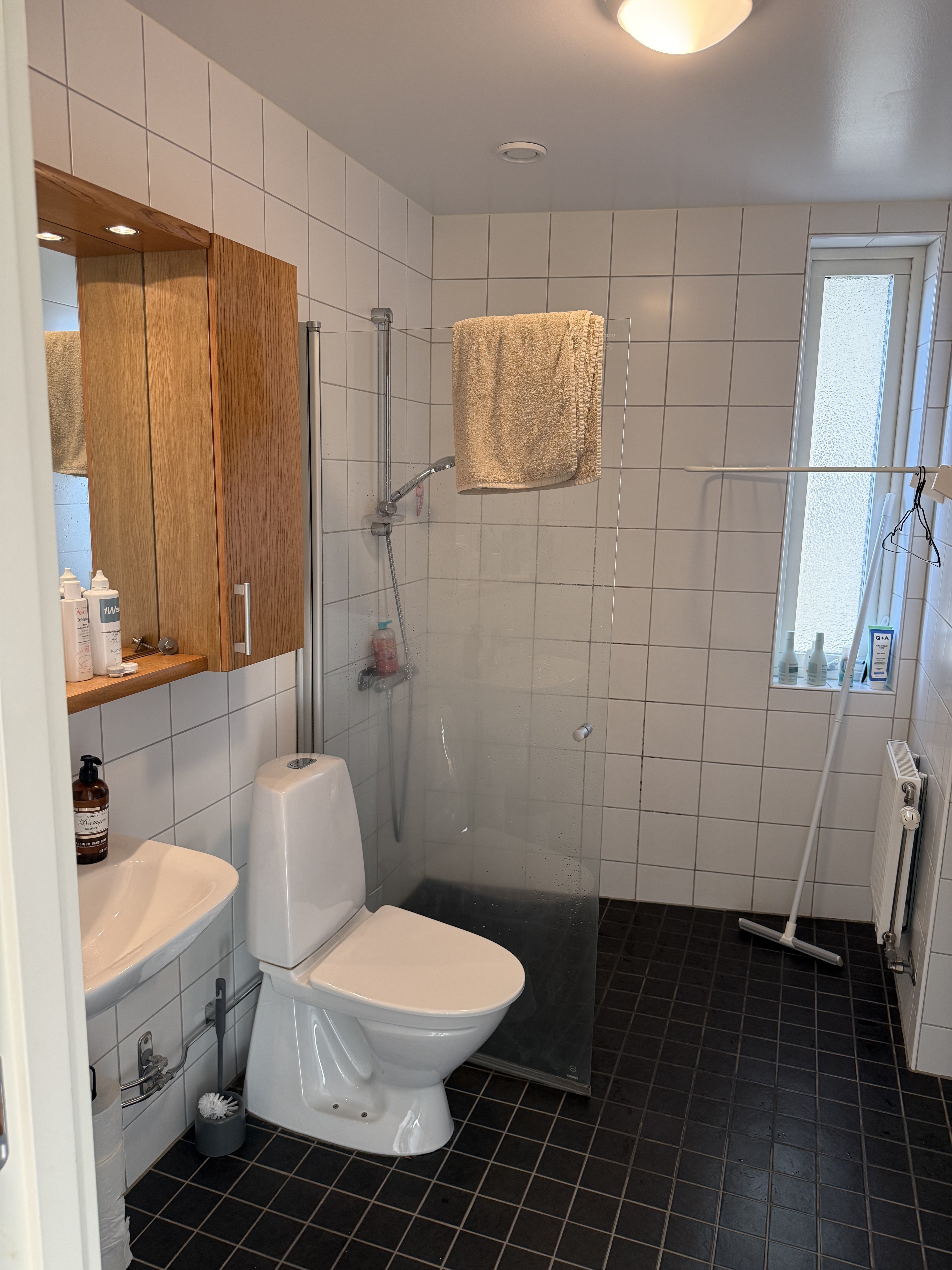 Ostindiefararen, Göteborg — photo 3