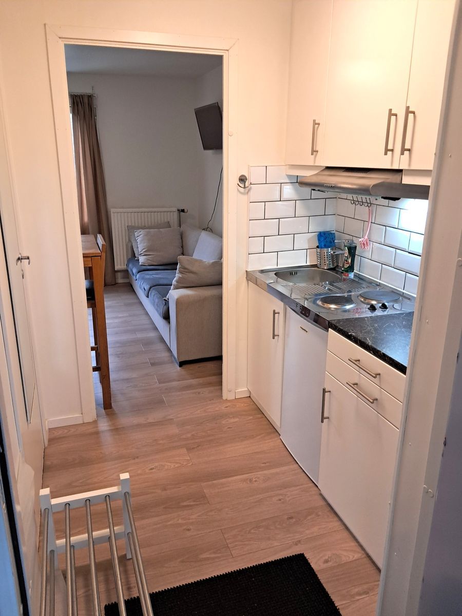 Vildrosgatan, Västerås — photo 2