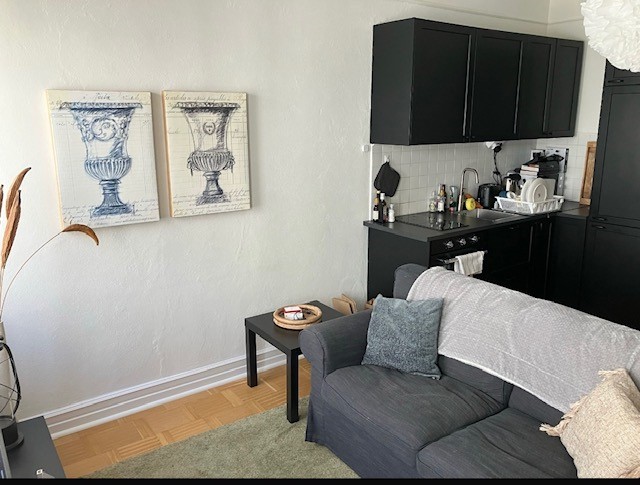 Lilla Södergatan, Lund — photo 2