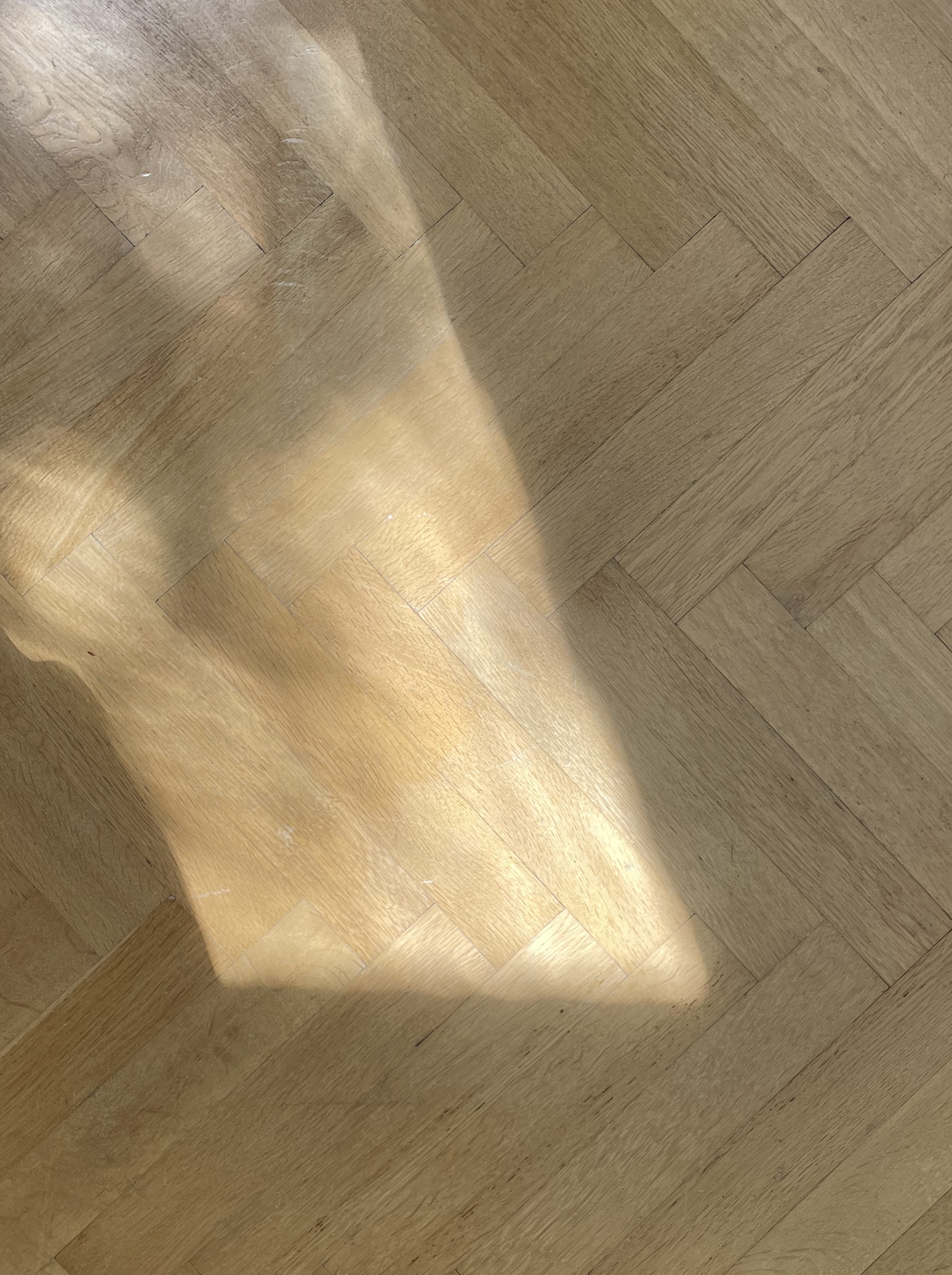 Lägenhet, 1 rum, 32 kvm, Malmö