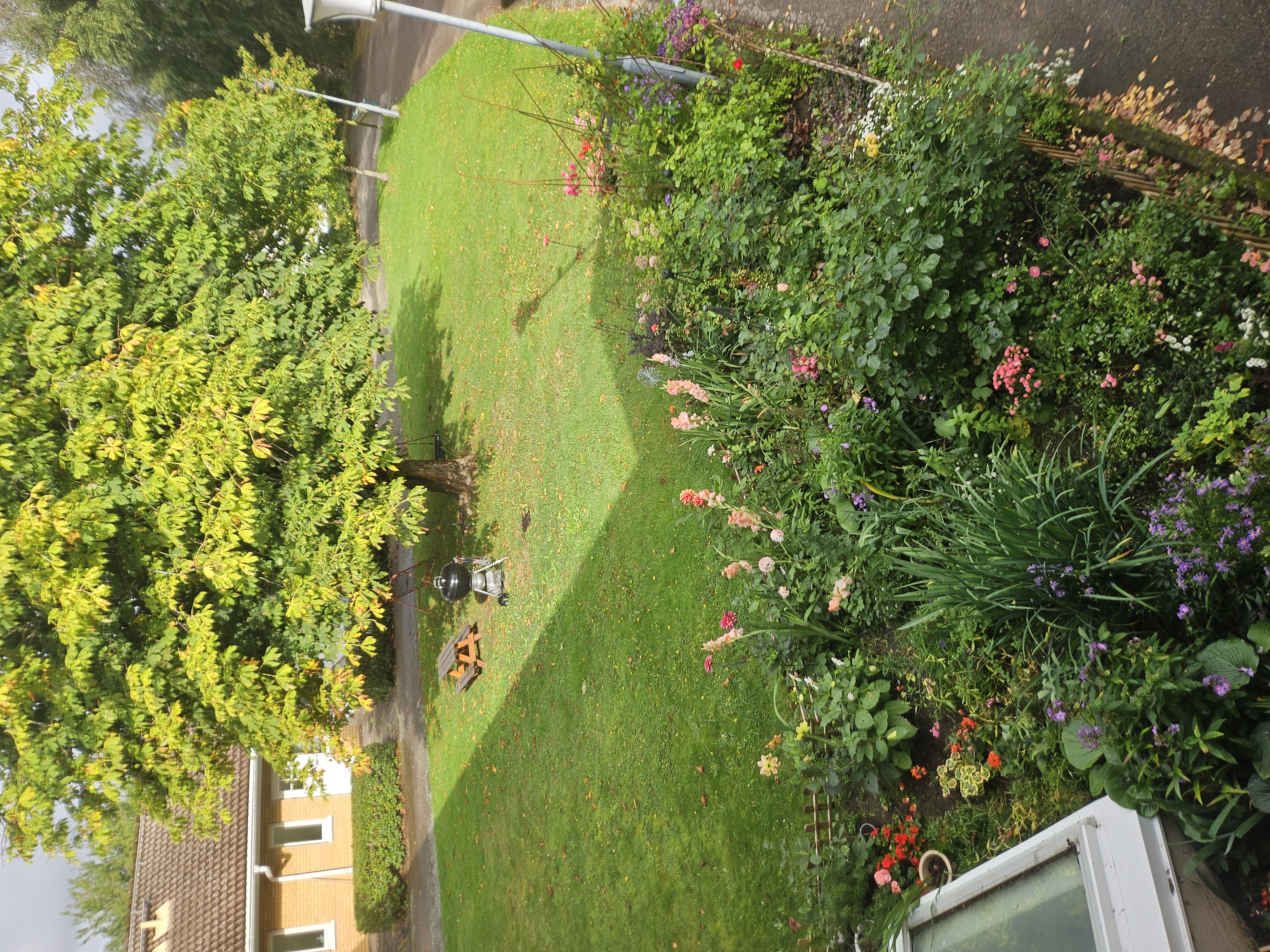 1 rok · 33 m² i Västra Karup