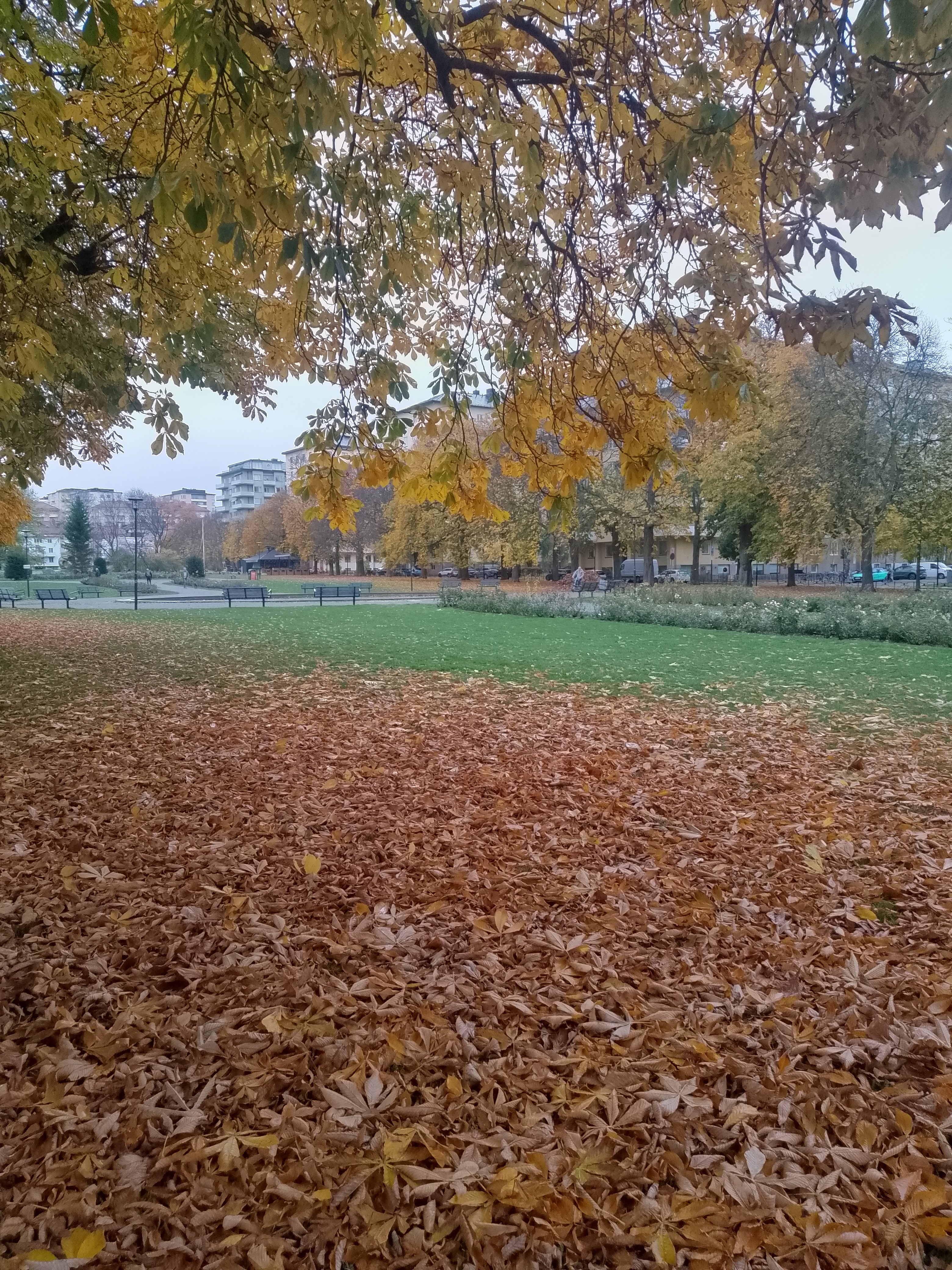 Storskärsgatan, Stockholm — photo 2