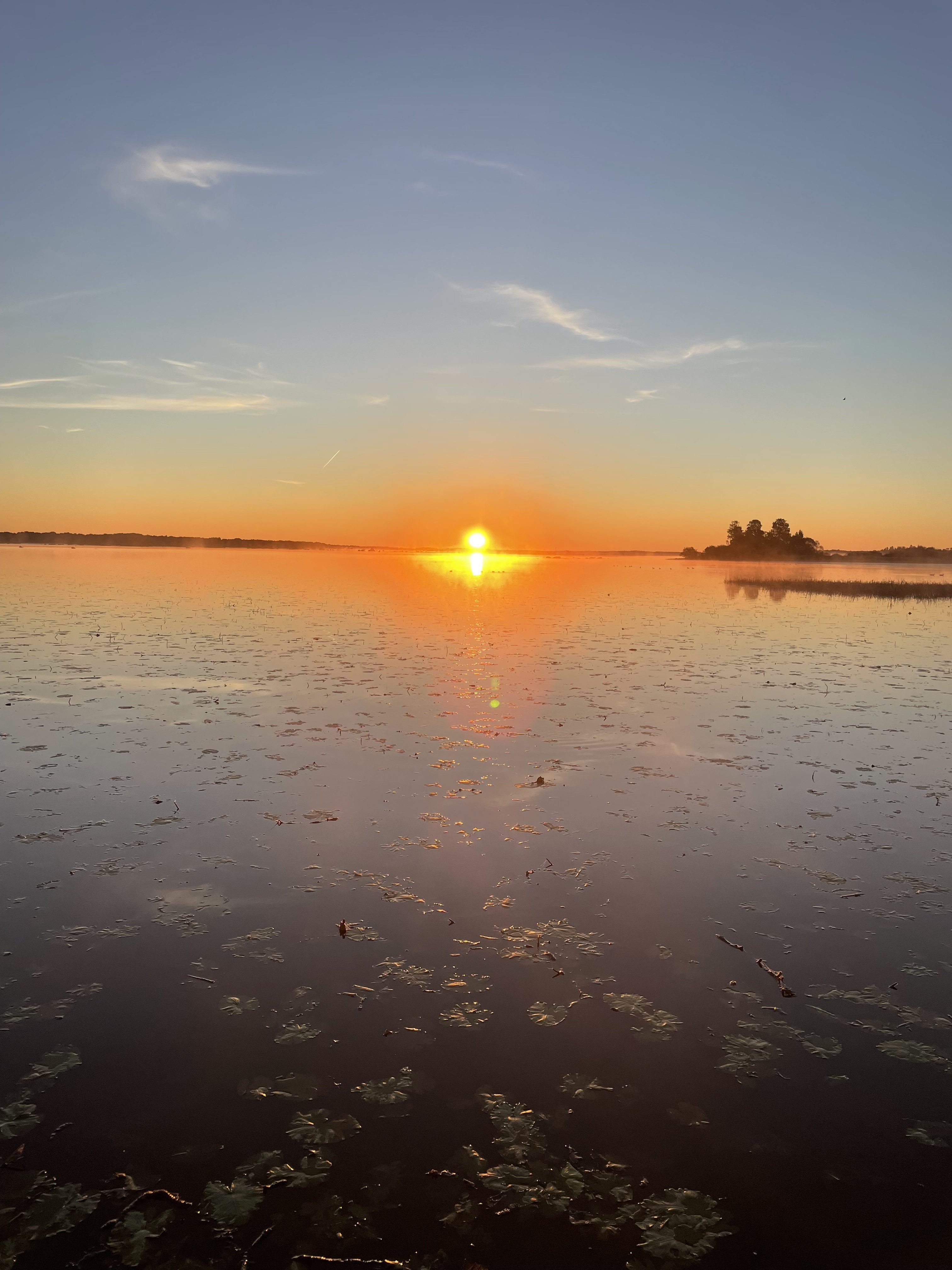 Lägenhet – Örebro kommun, Örebro län - Bild 4