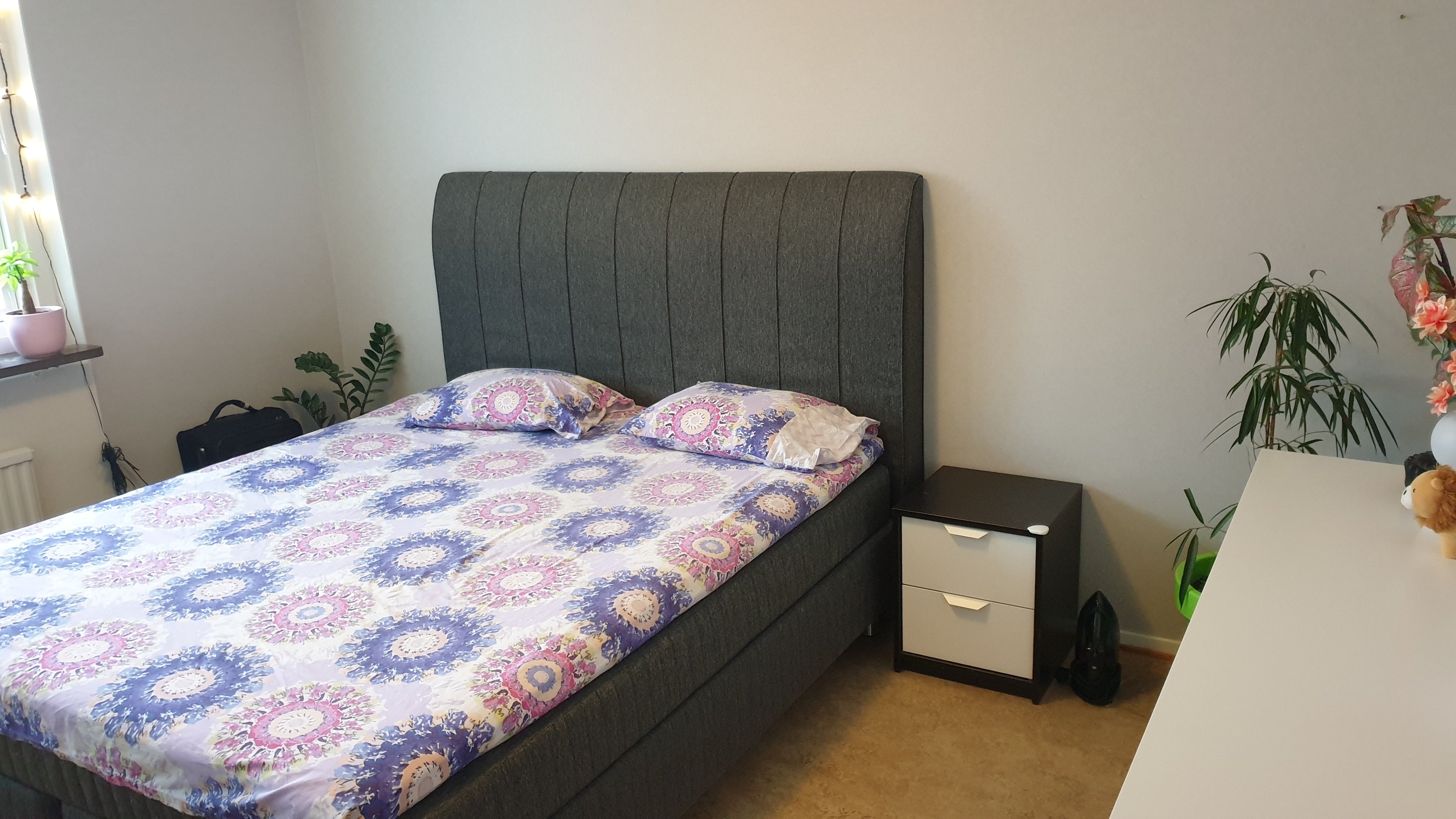 Memoargatan, Gothenburg — photo 2