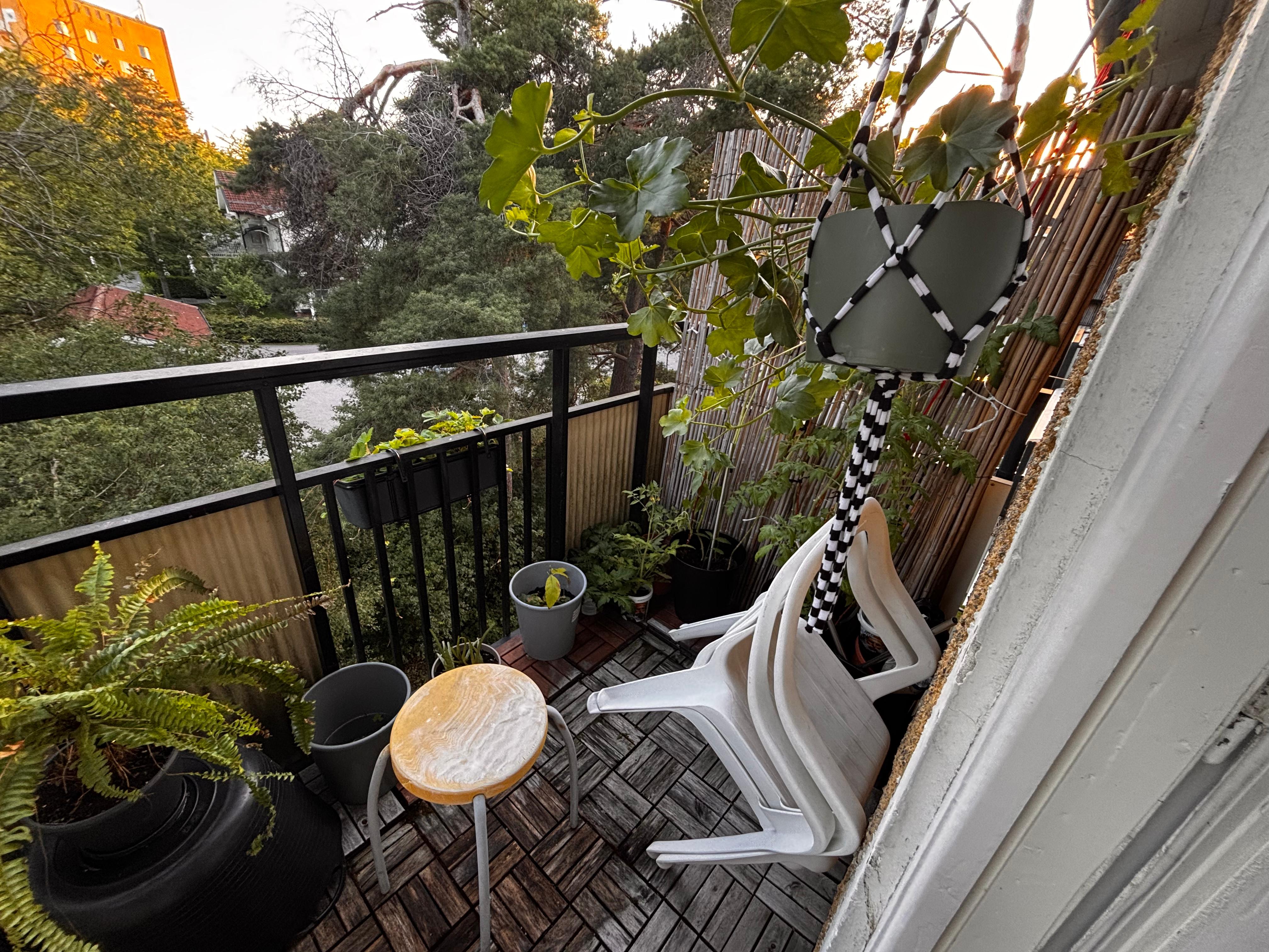 Astrakangatan, Hässelby — photo 4