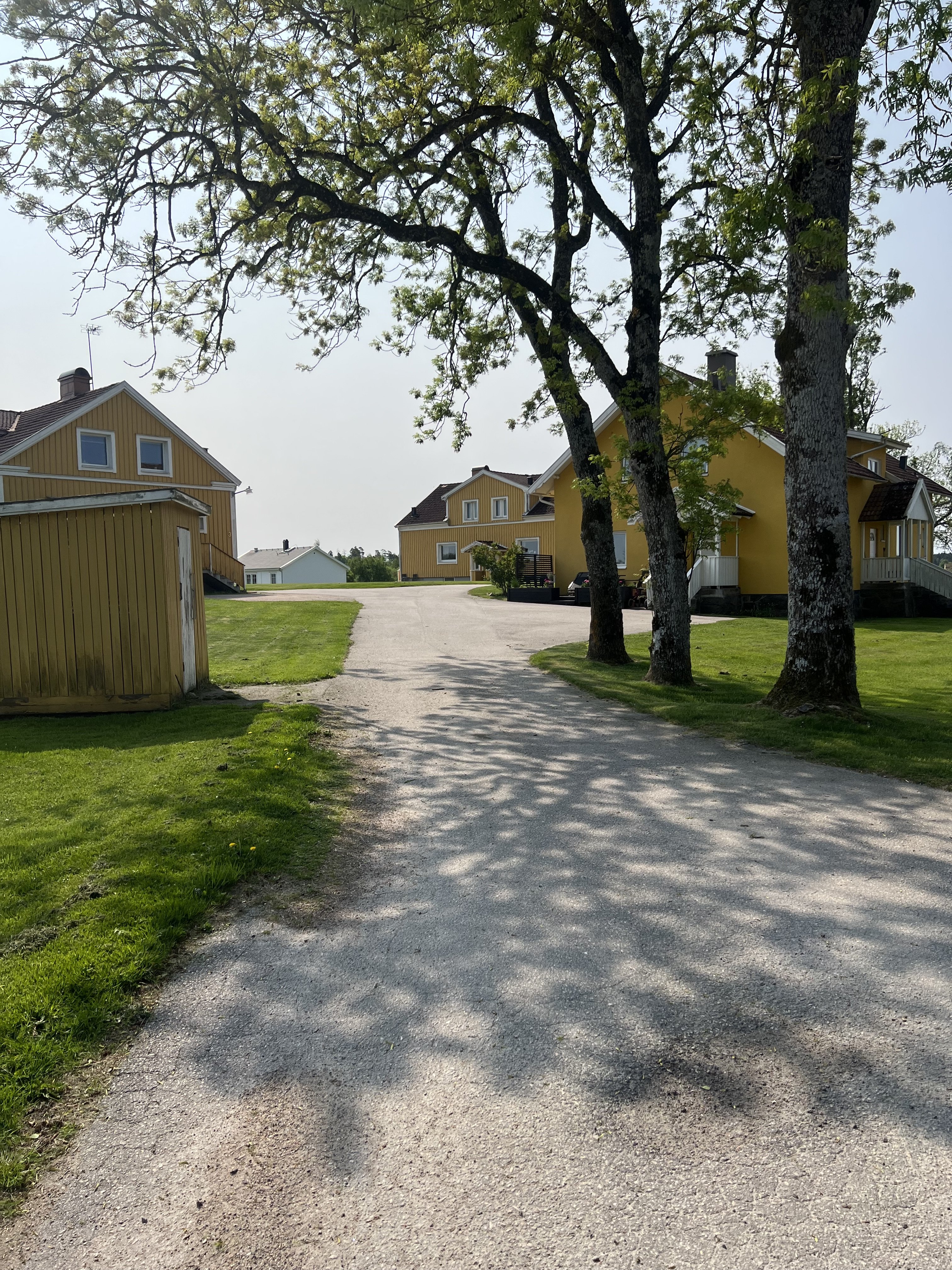 Fors stommen