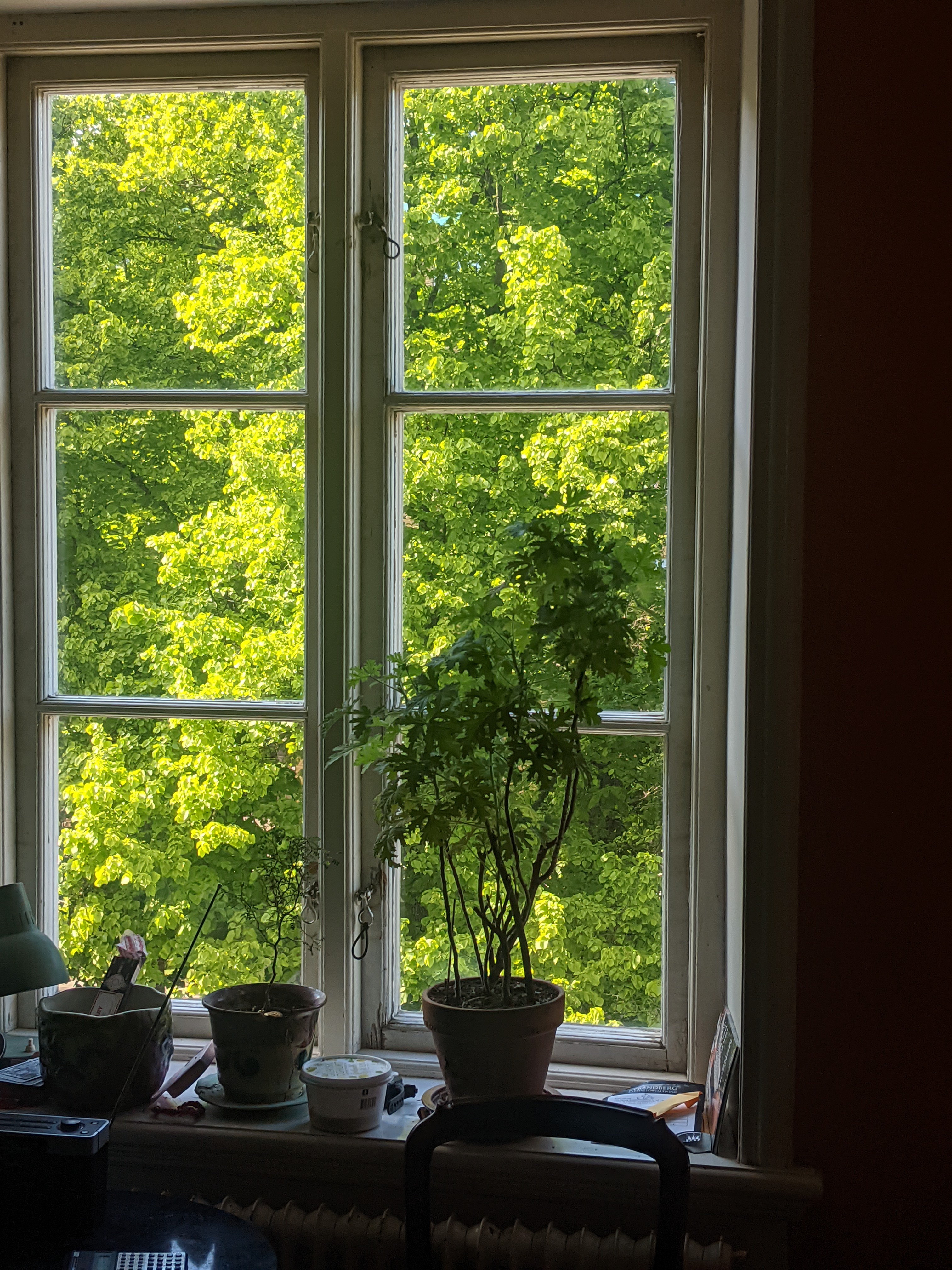 Kungsgatan, Malmö — photo 4