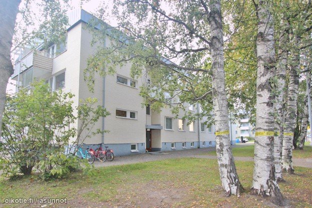 Valoisa remontoitu yksiö 5
