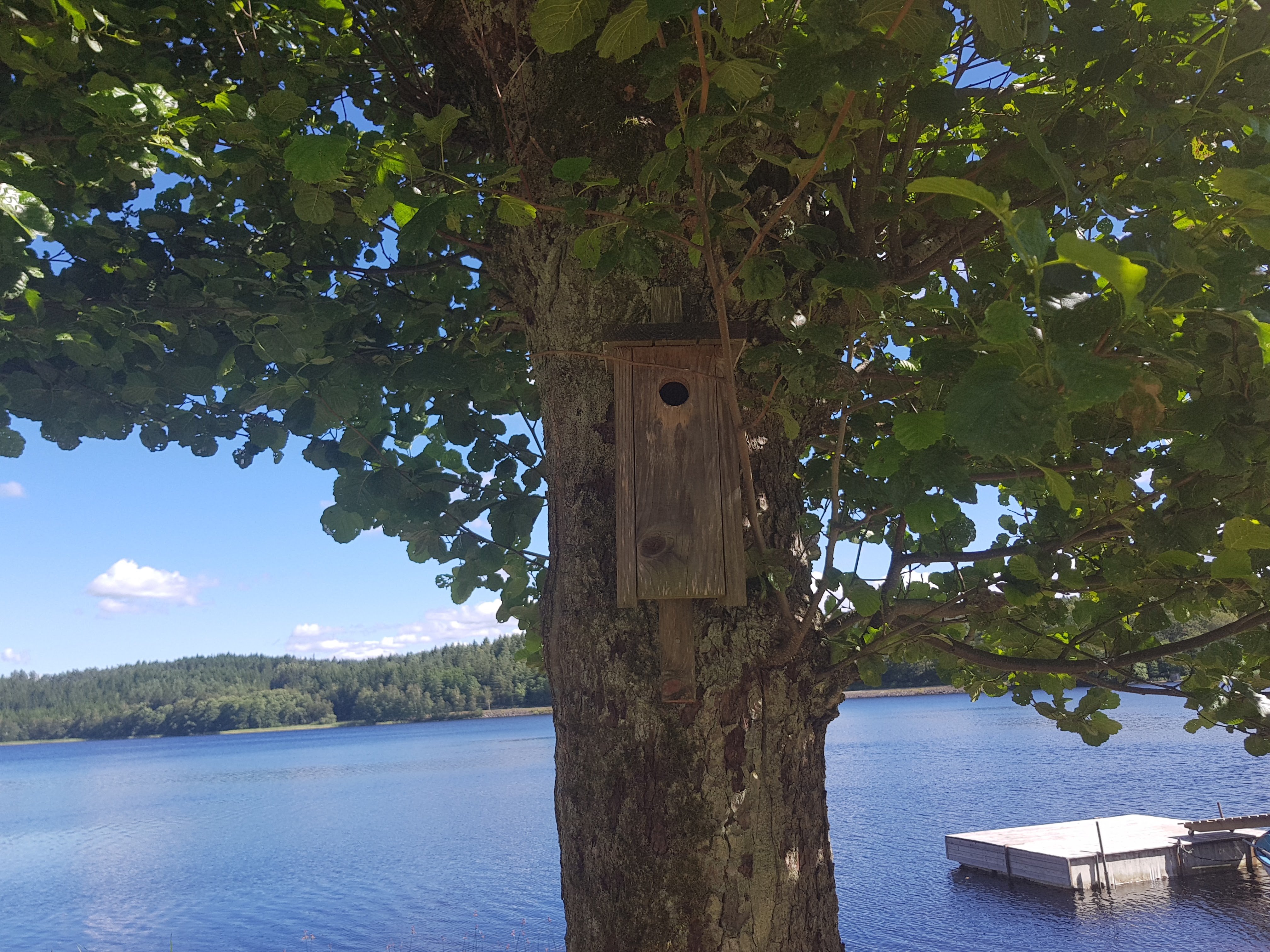 House in Kungsbacka kommun, Allarängen och Kärra - Bild 5