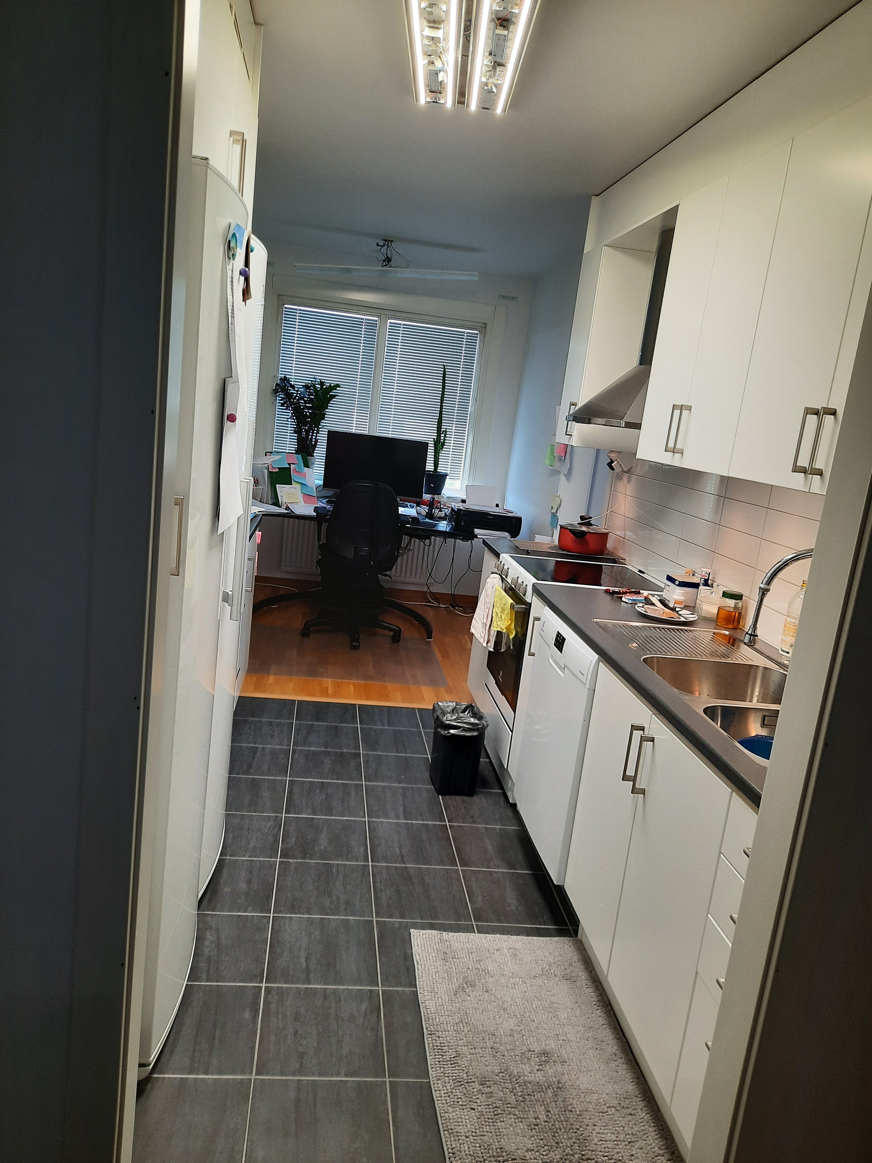 Hålsjögatan, Malmö — photo 5