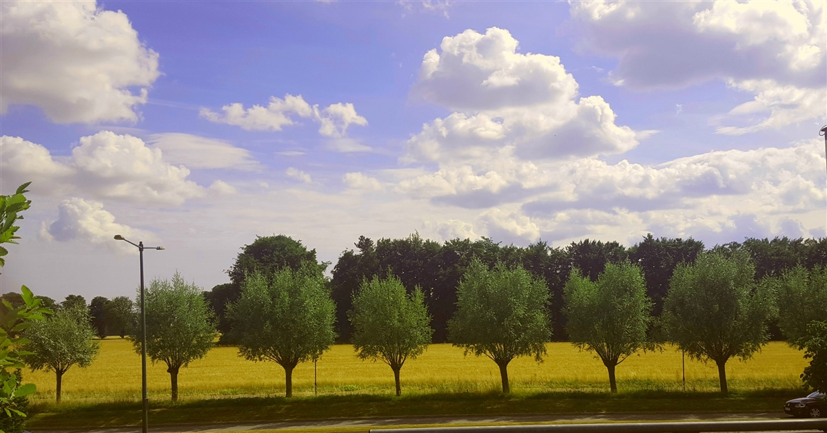 Sadelmakarebyn 1A, Bunkeflostrand — photo 3