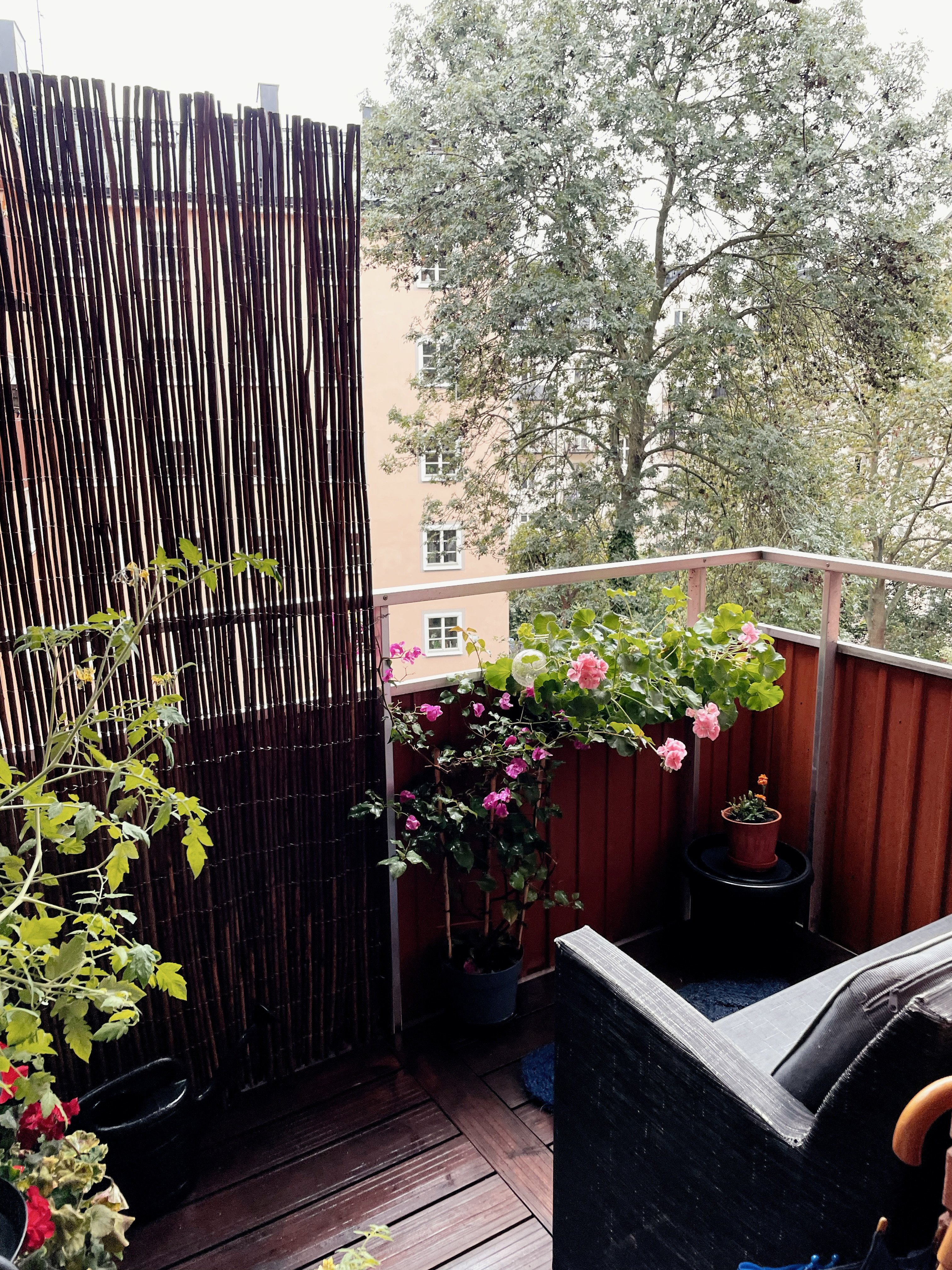 3 rum och kök, Södermalm, 13 800 kr/mån, bild 3