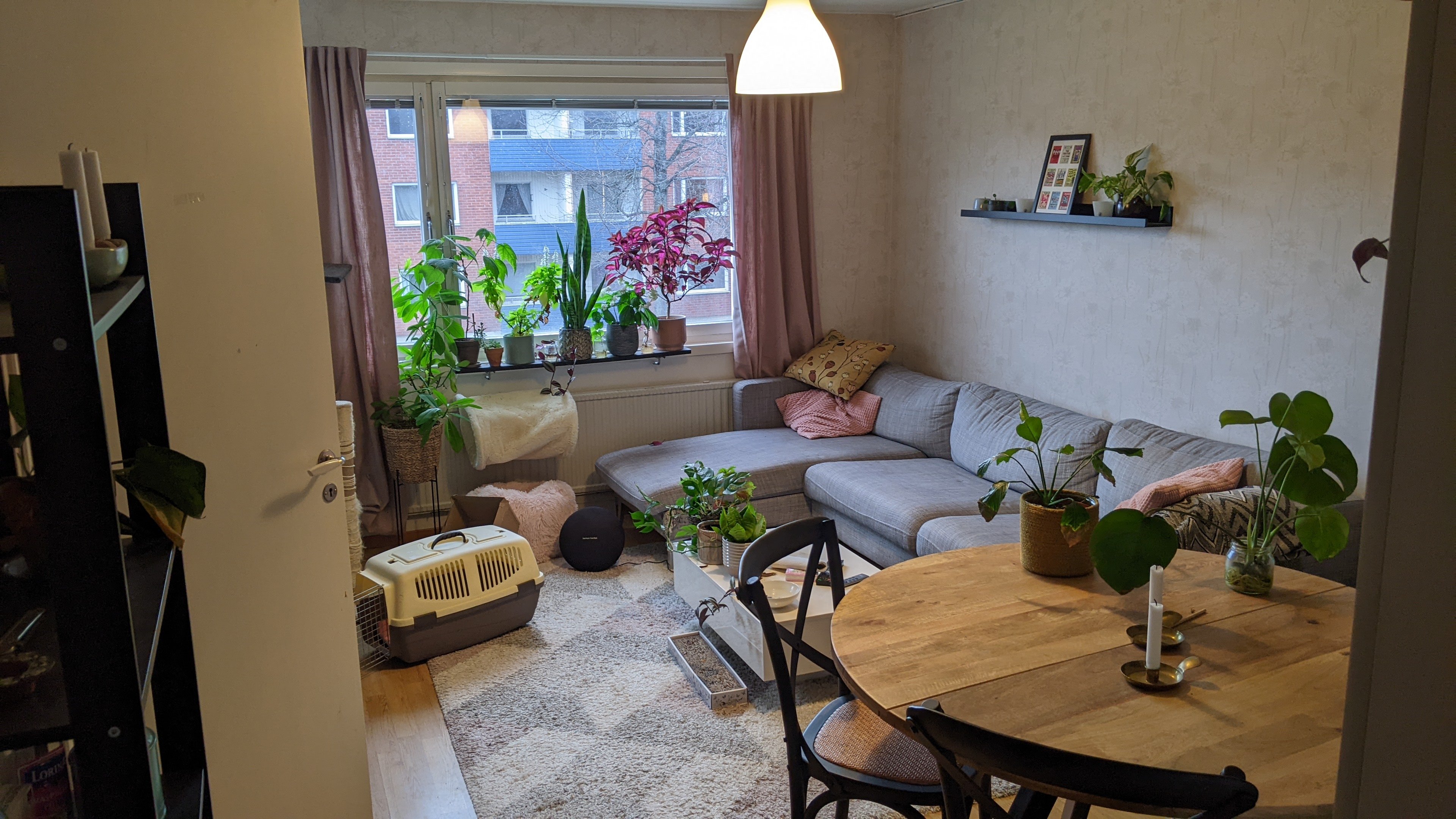 Lägenhet, 1 rum, 20 kvm, Uppsala