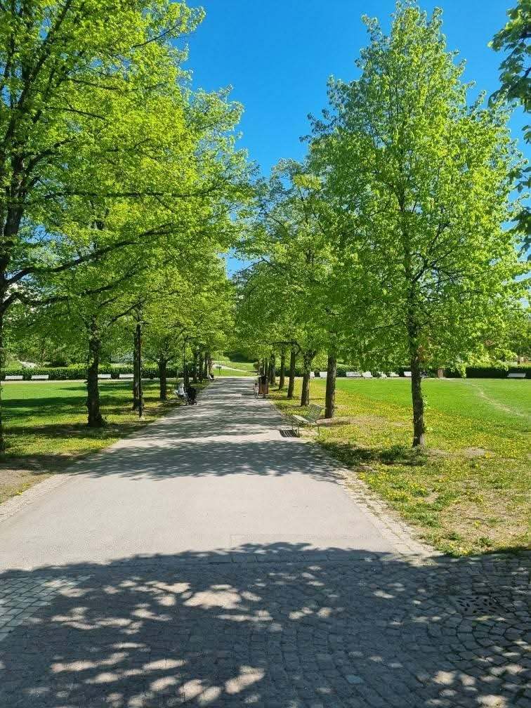 1 rum och kök, Vällingby — 10 000 kr/mån — bild 5