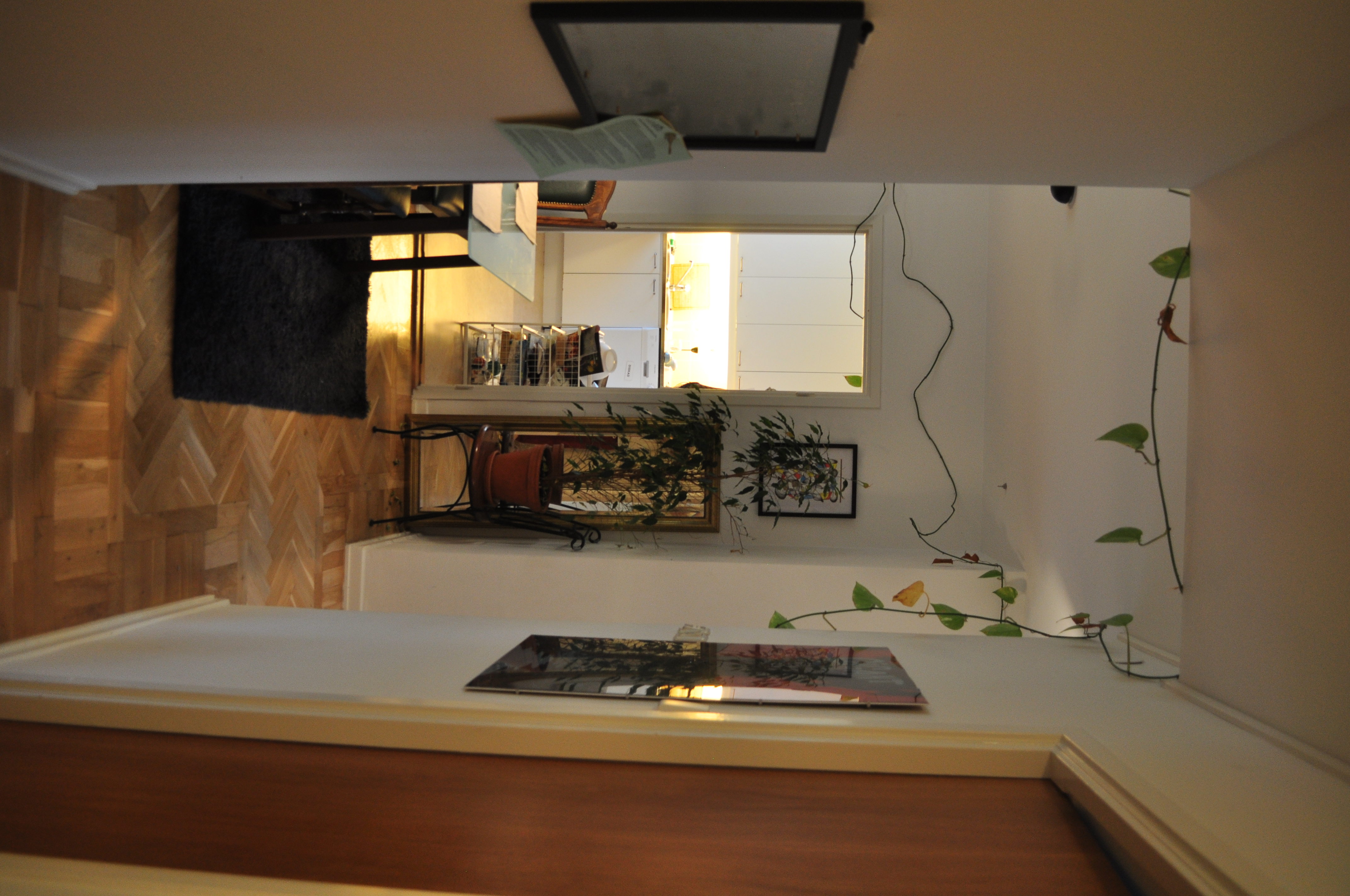 Doktor Liborius Gata, Göteborg — photo 4