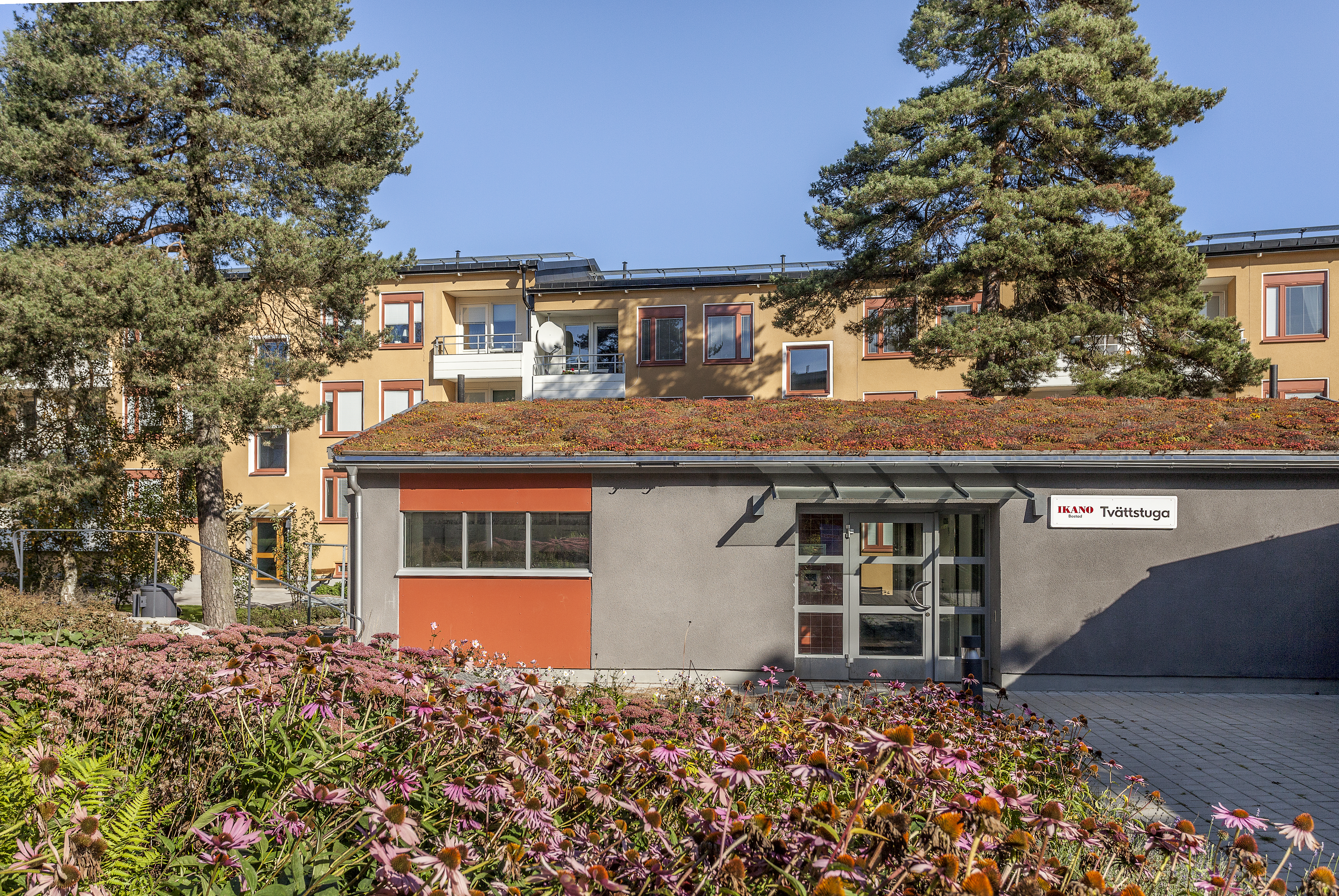 Åmmebergsgatan 16, Bandhagen