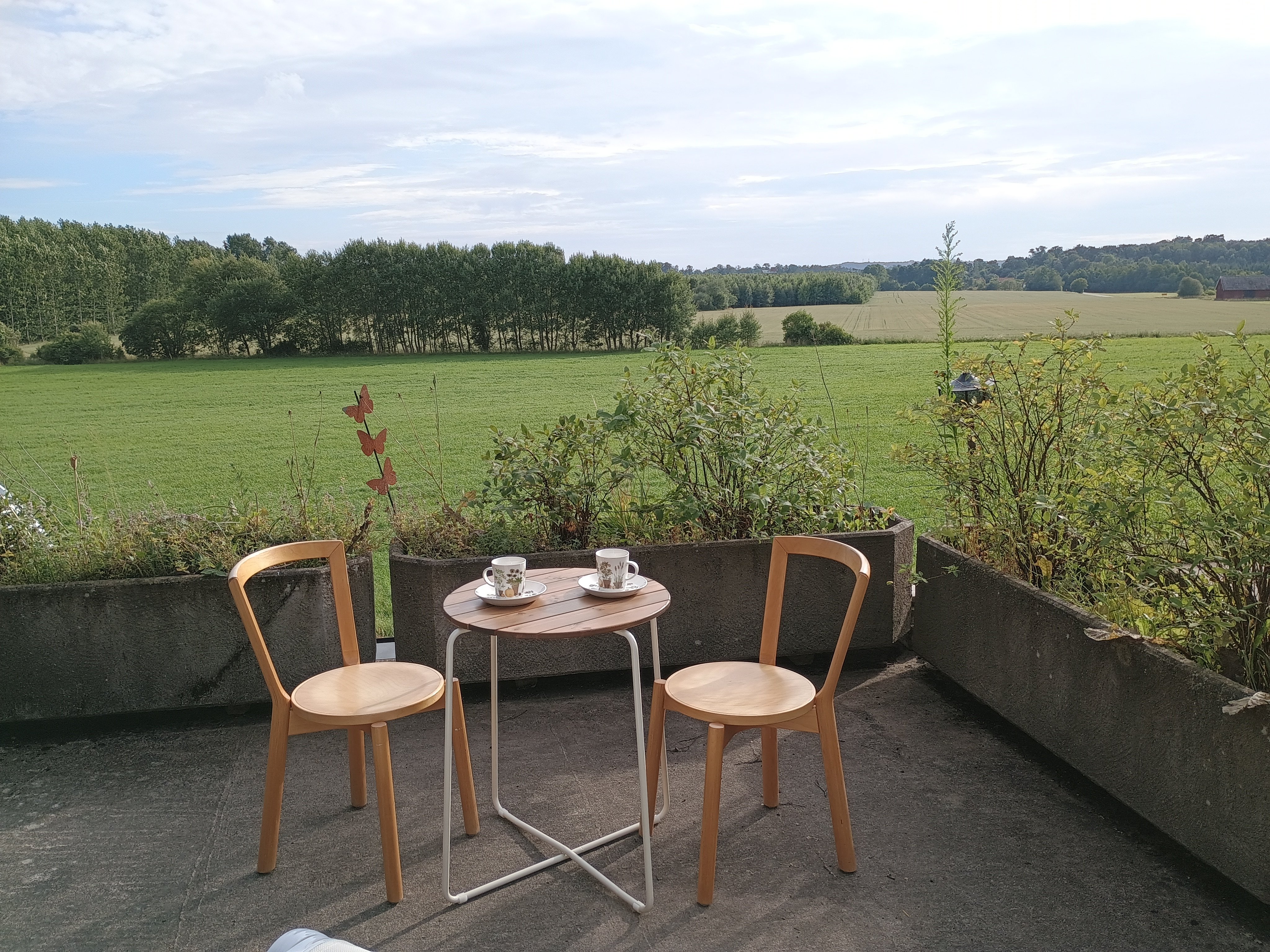 Stuga, 1 rooms, 25 sqm, Åled