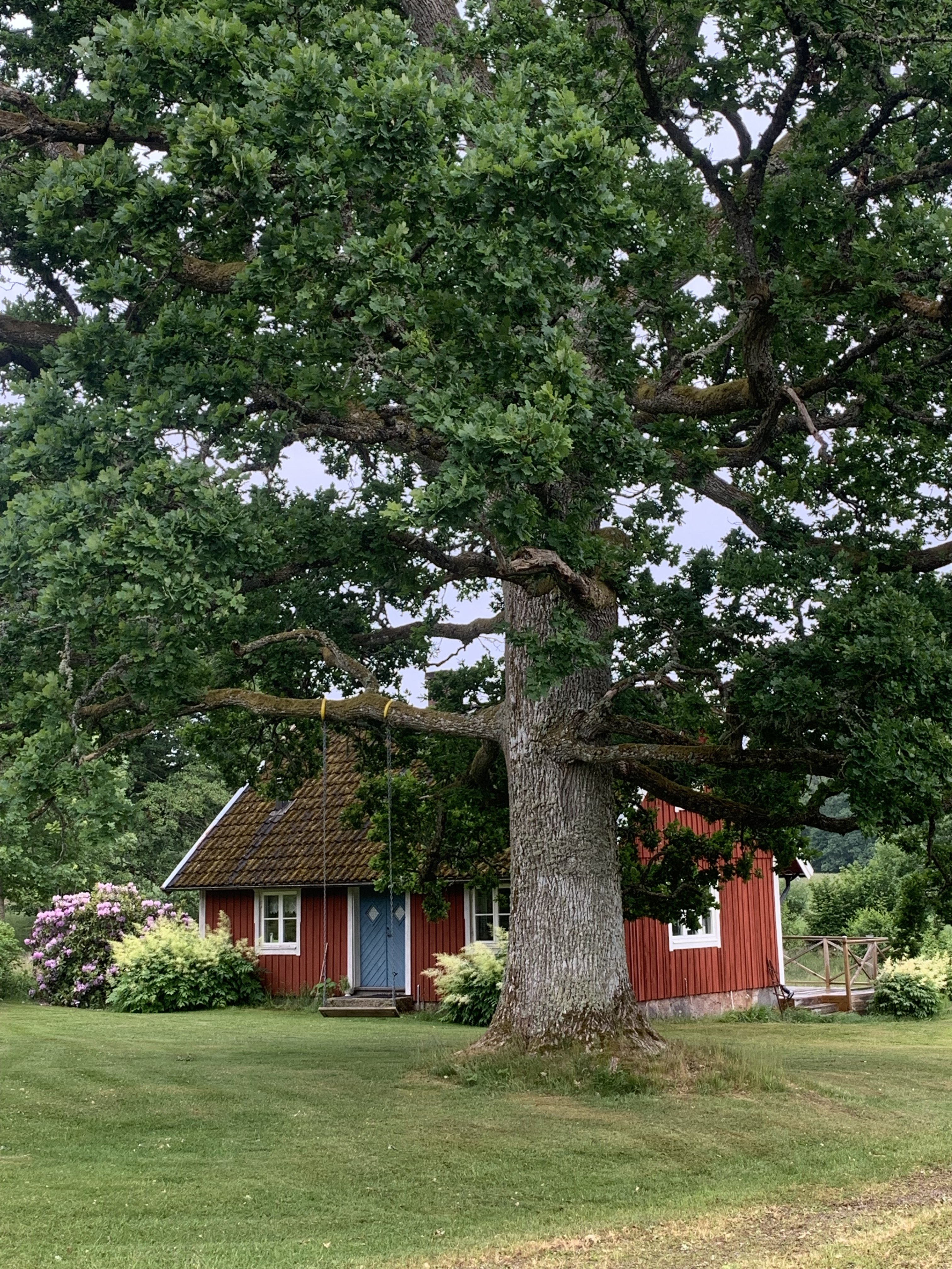 Stuga, 4 rooms, 70 sqm, Ljungby