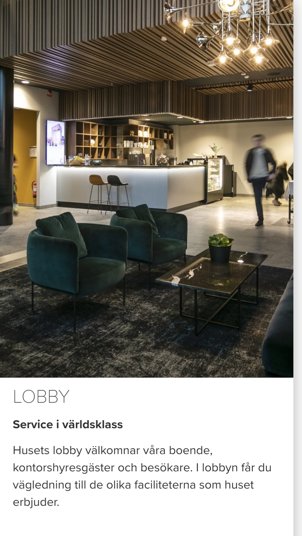 Qasa listing 1413337 - Bild 6