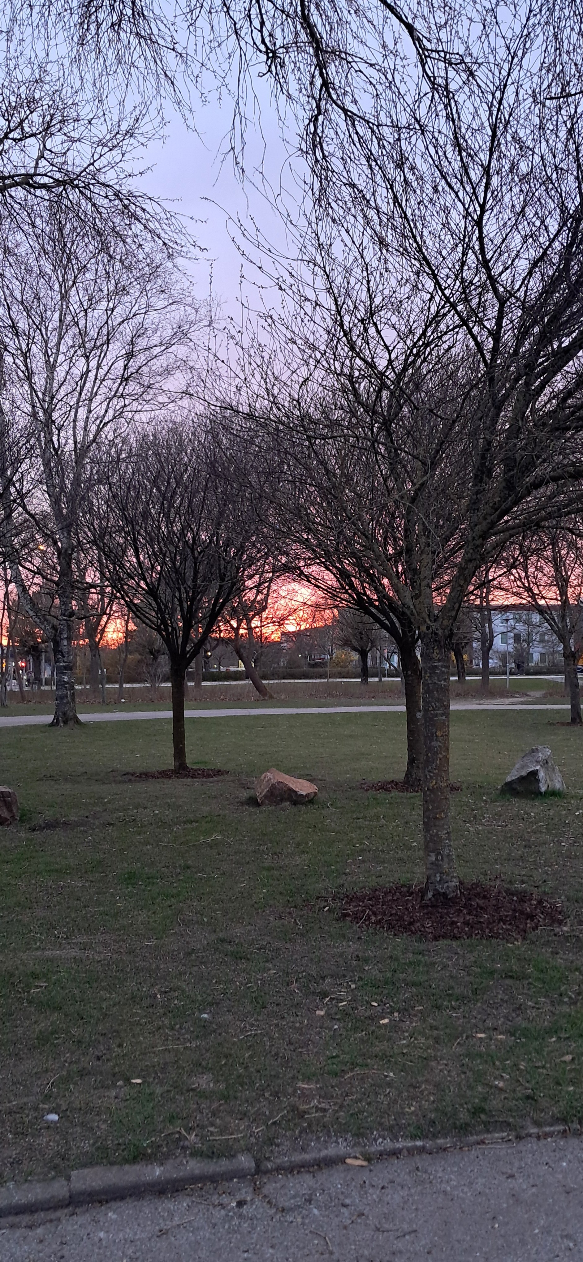 Magistratsvägen, Lund — photo 5