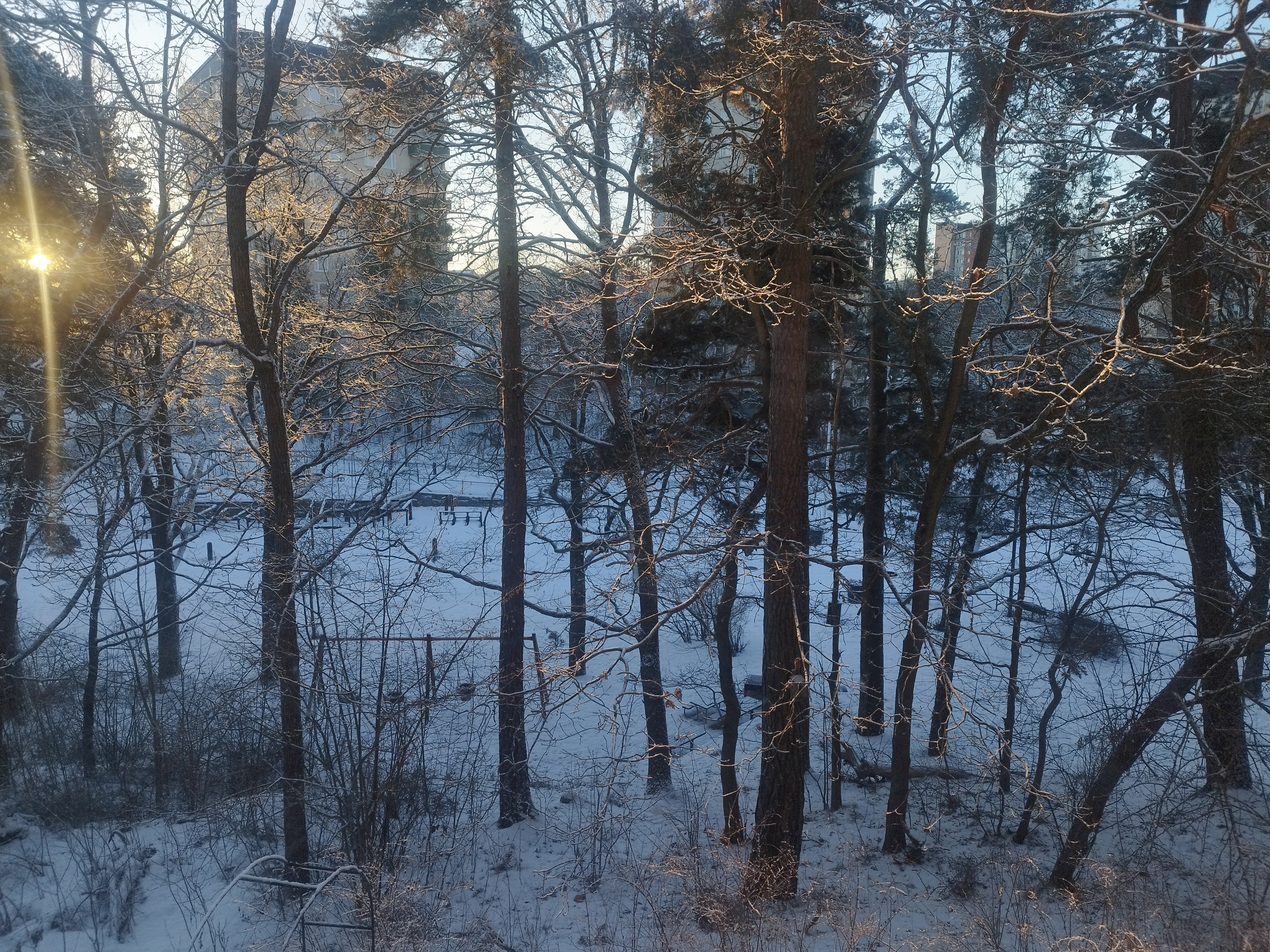 Qasa listing 1426154 - Bild 2