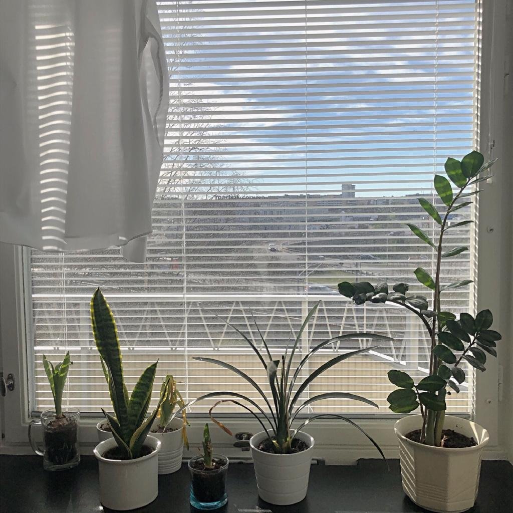 Järnlundsvägen, Årsta