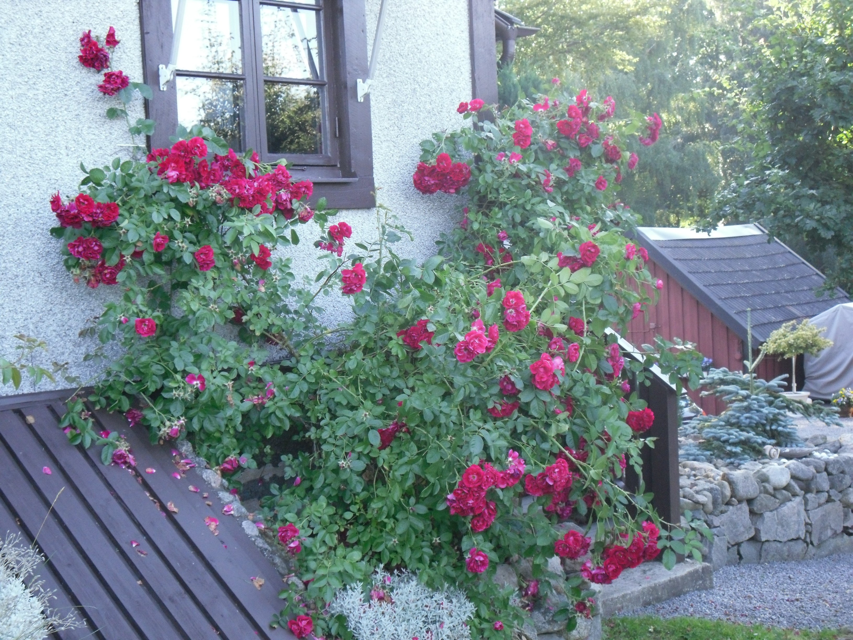 House in Karlshamn, Tubbaryd, Knutsberg - Bild 2