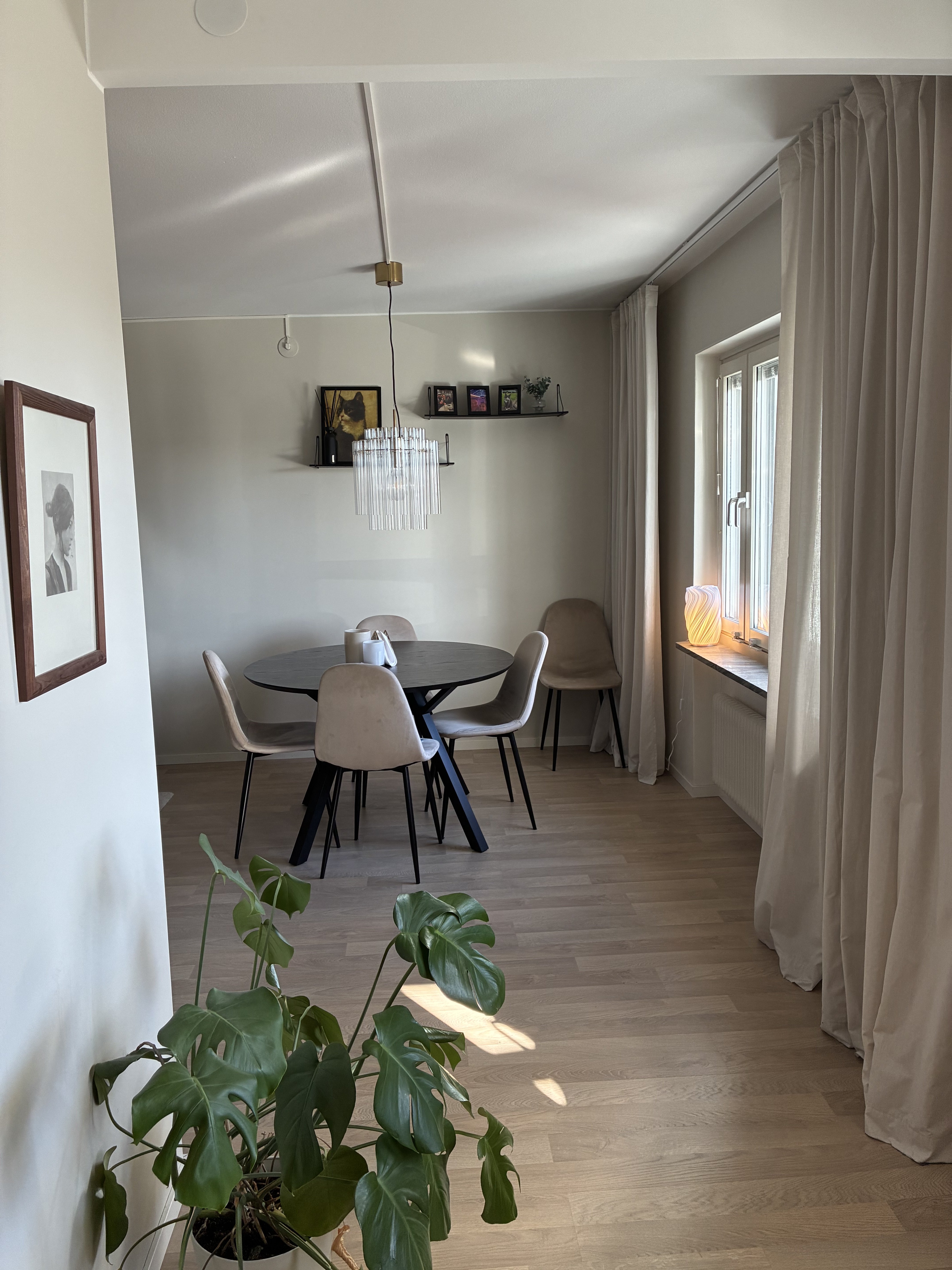 Timotejvägen, Umeå