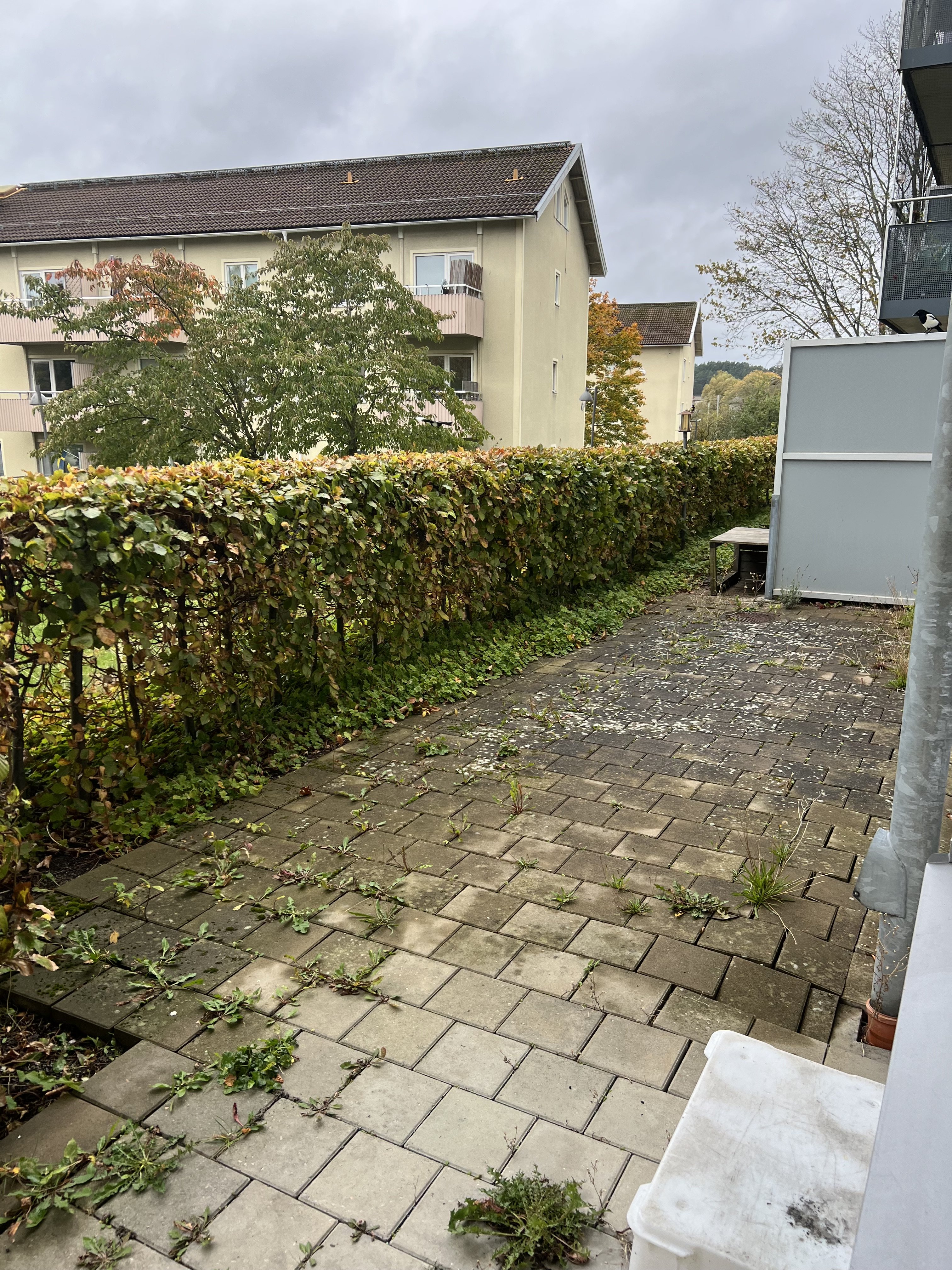 Fyrväpplingsgatan, Göteborg — photo 3