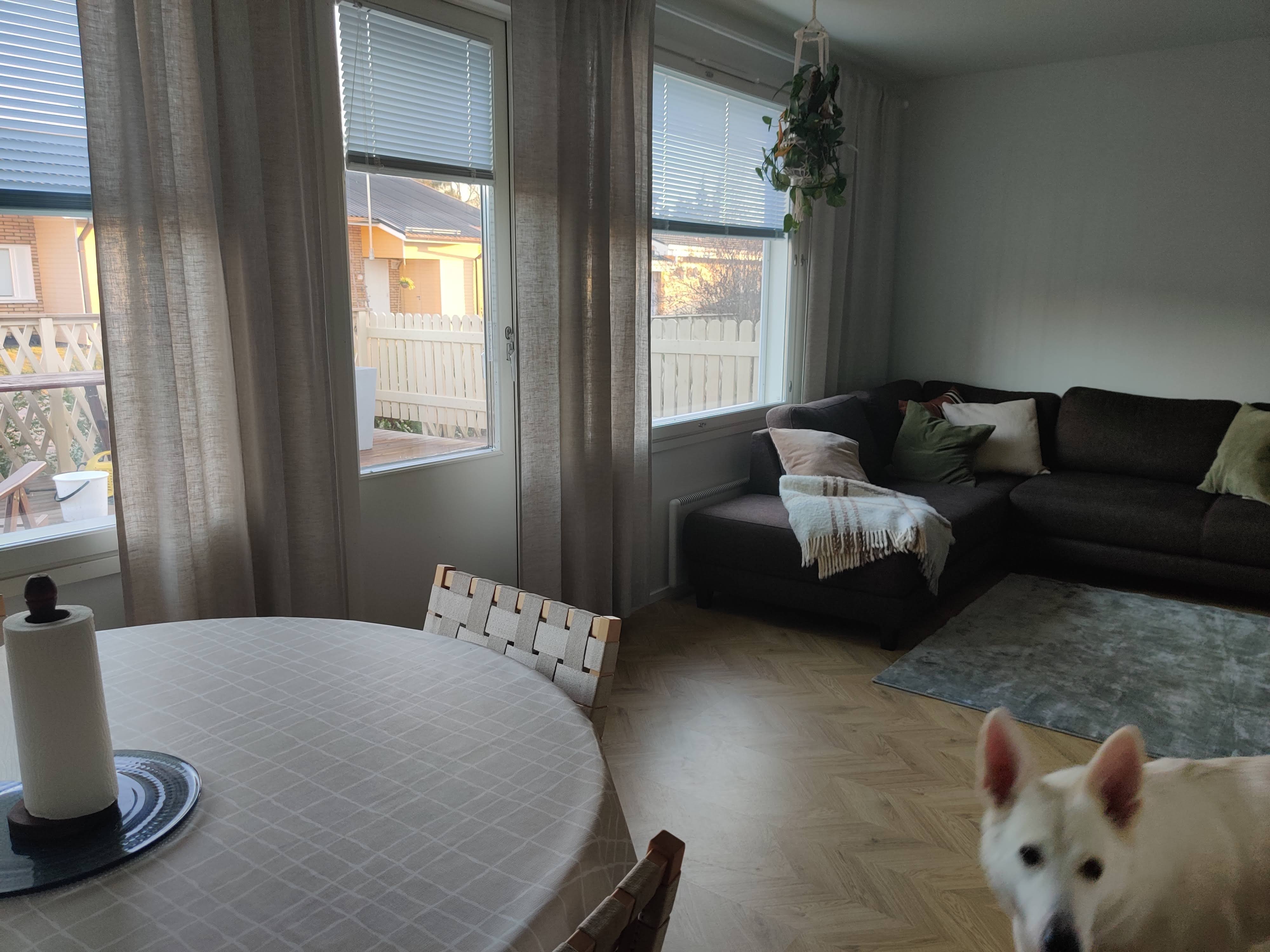 house at Sarakuja, Loimaa 3