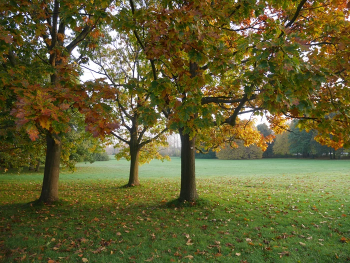 Plantvägen 4C, Alnarp — photo 2