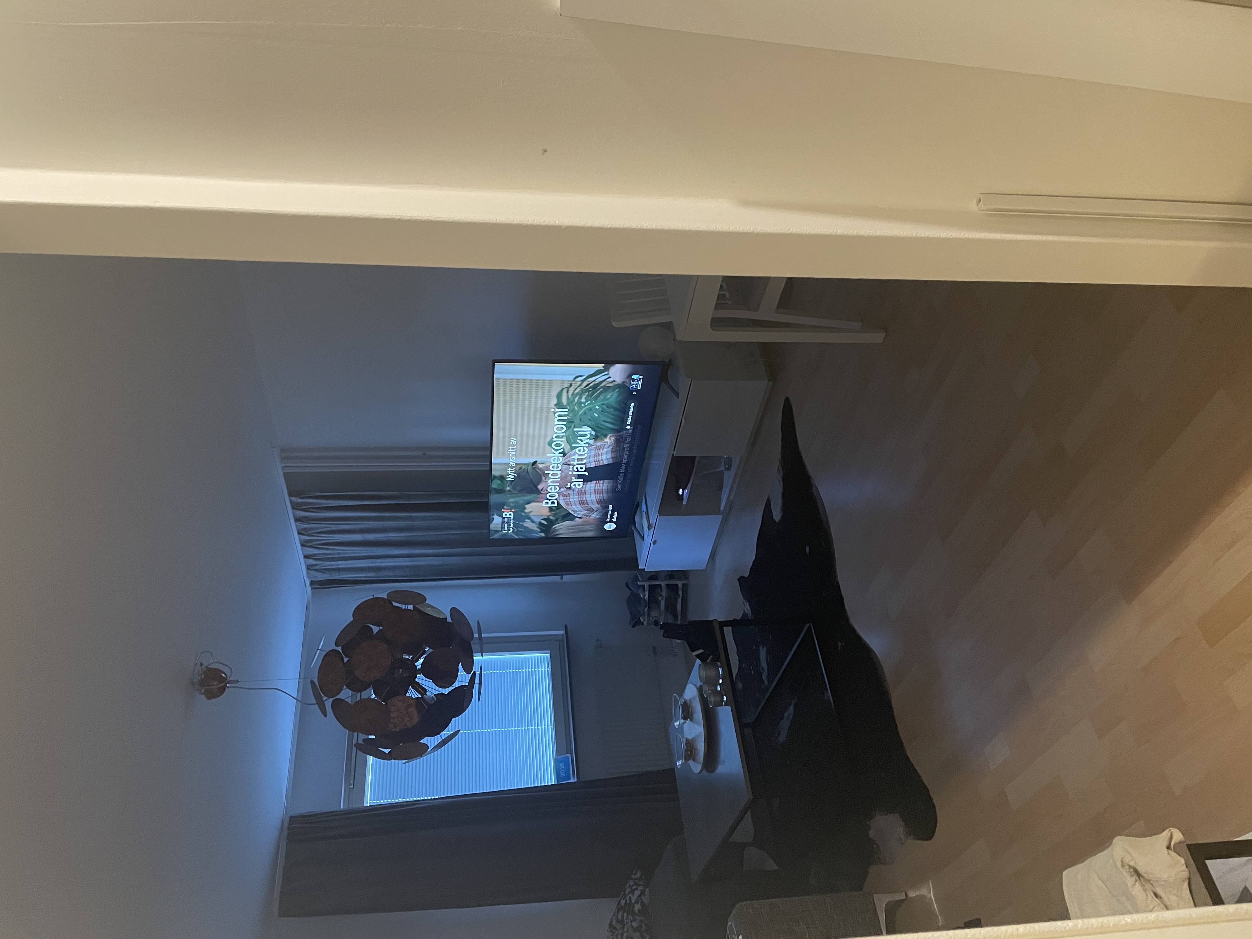 Sibeliusgången, Kista — photo 2