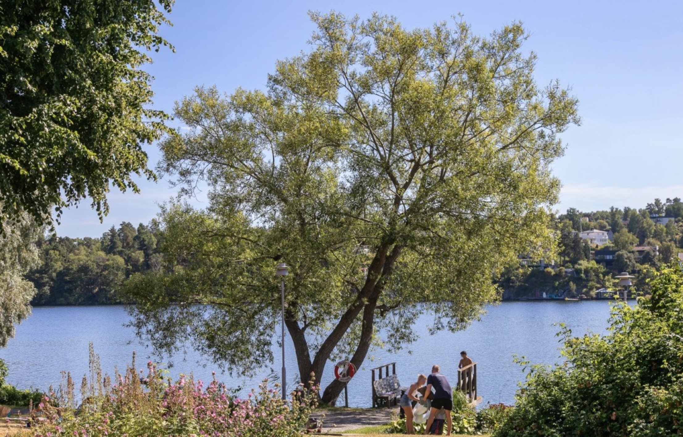 Klockelundsvägen, Farsta — photo 4