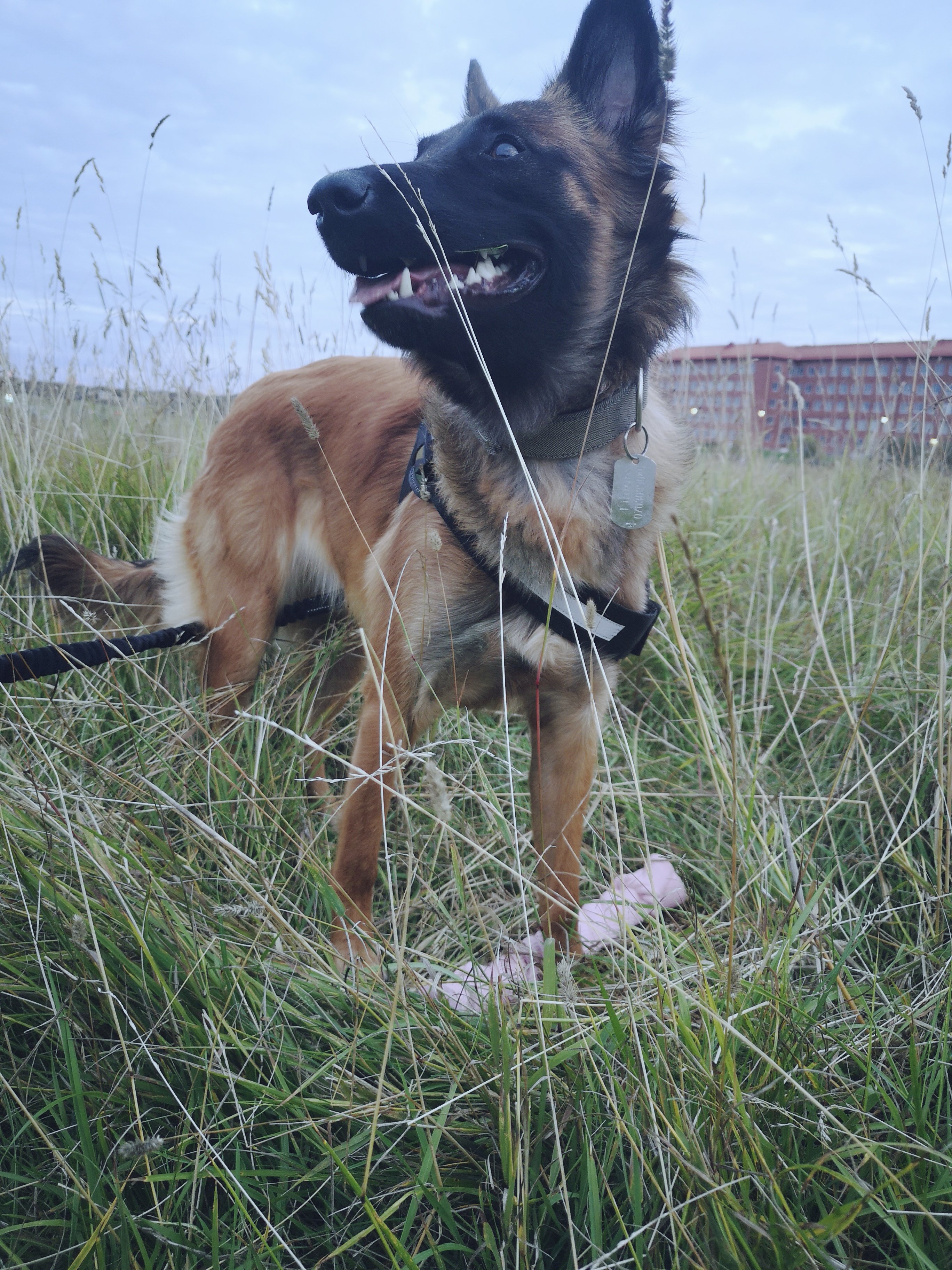 Hedinsgatan, Stockholm