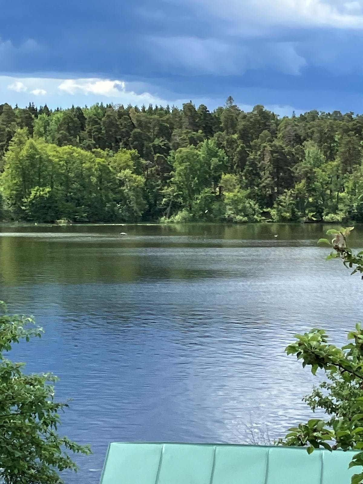Grönviksvägen