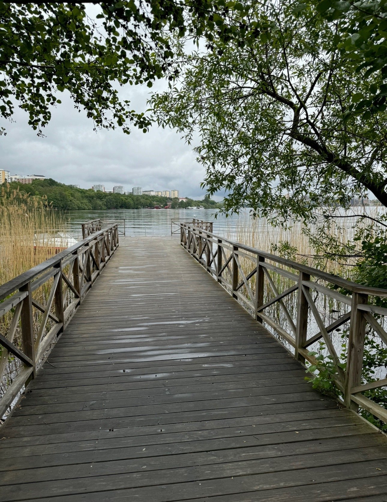 Johannesfredsvägen, Bromma — photo 3